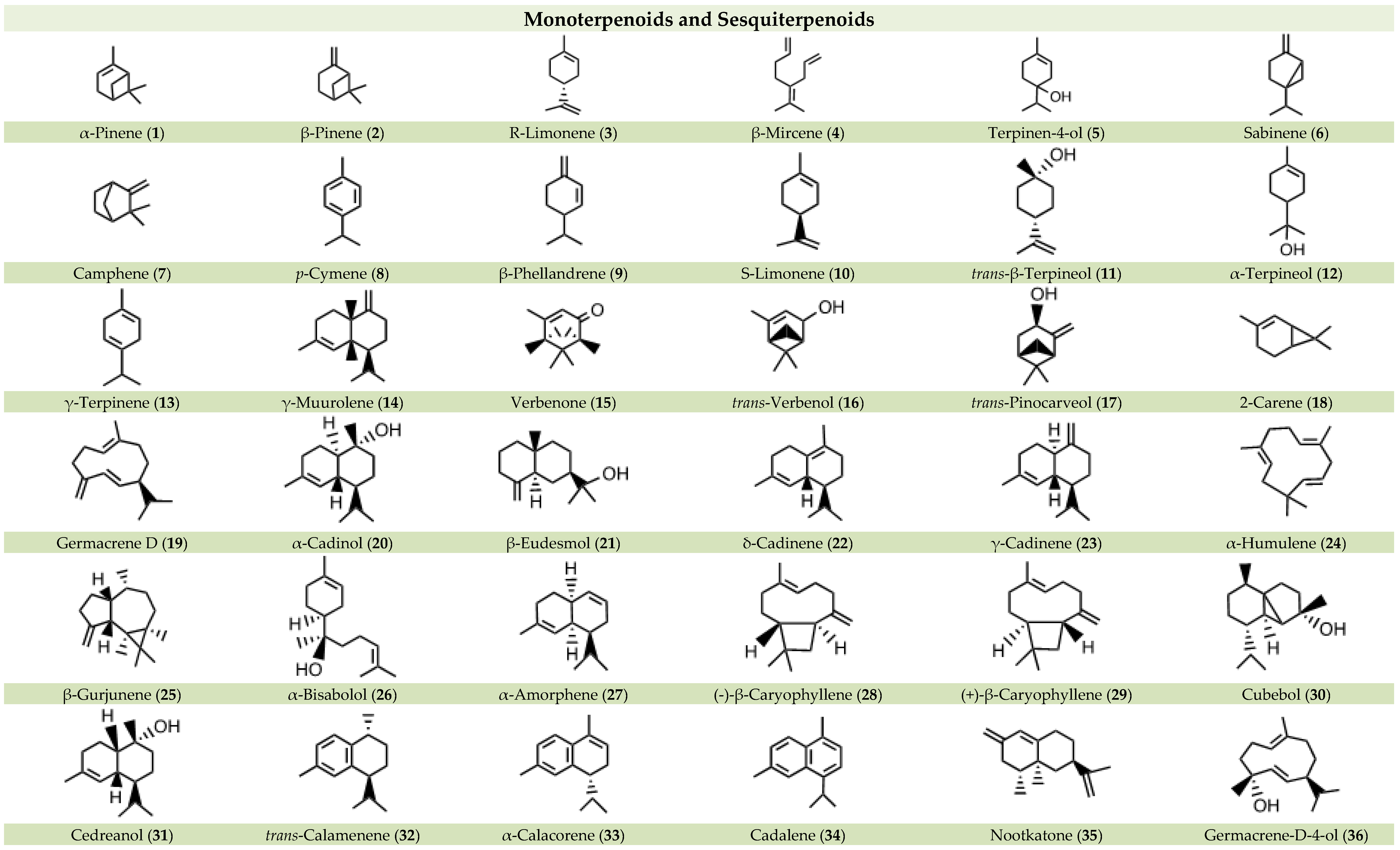 Nutrients 16 01638 g002a