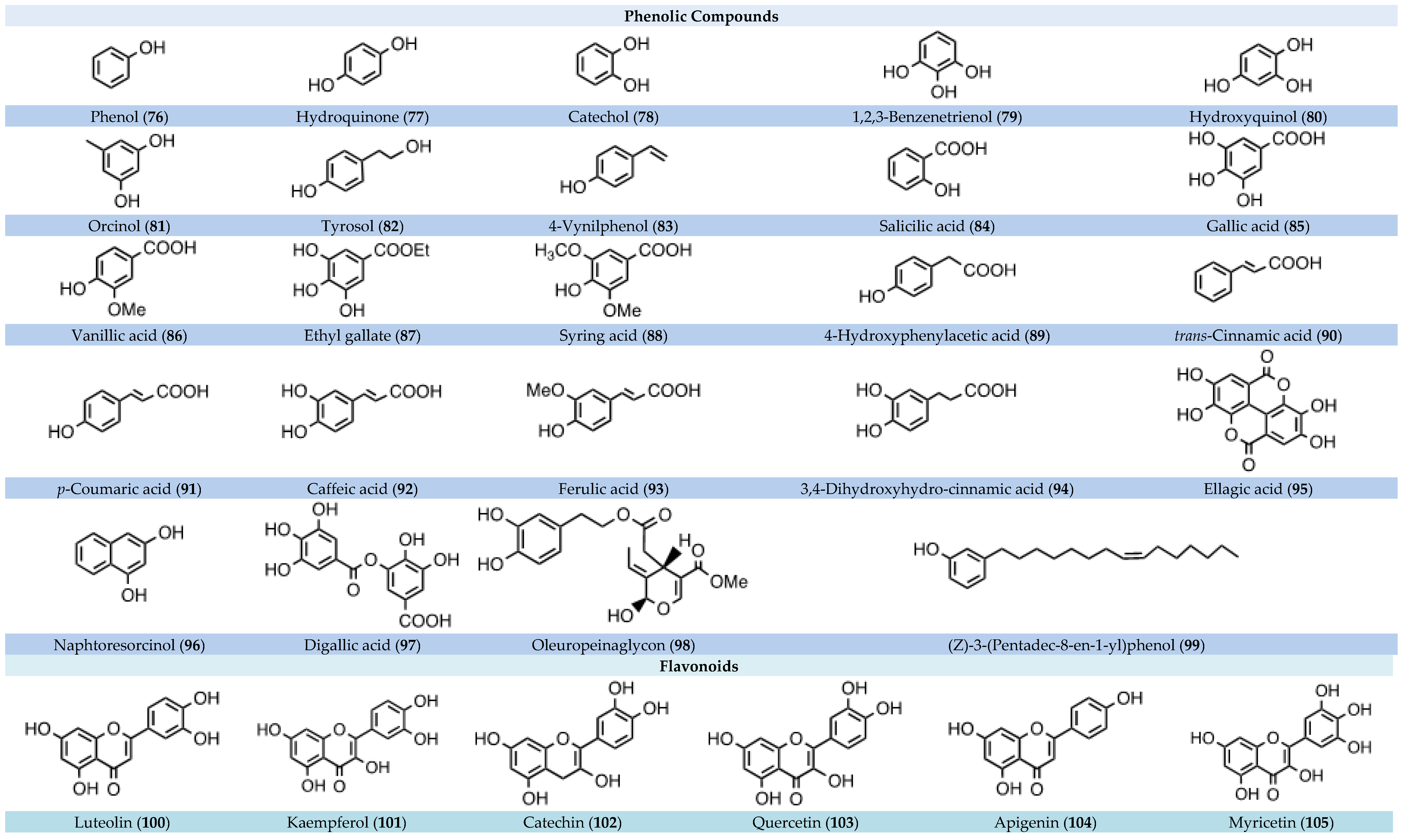 Nutrients 16 01638 g002d