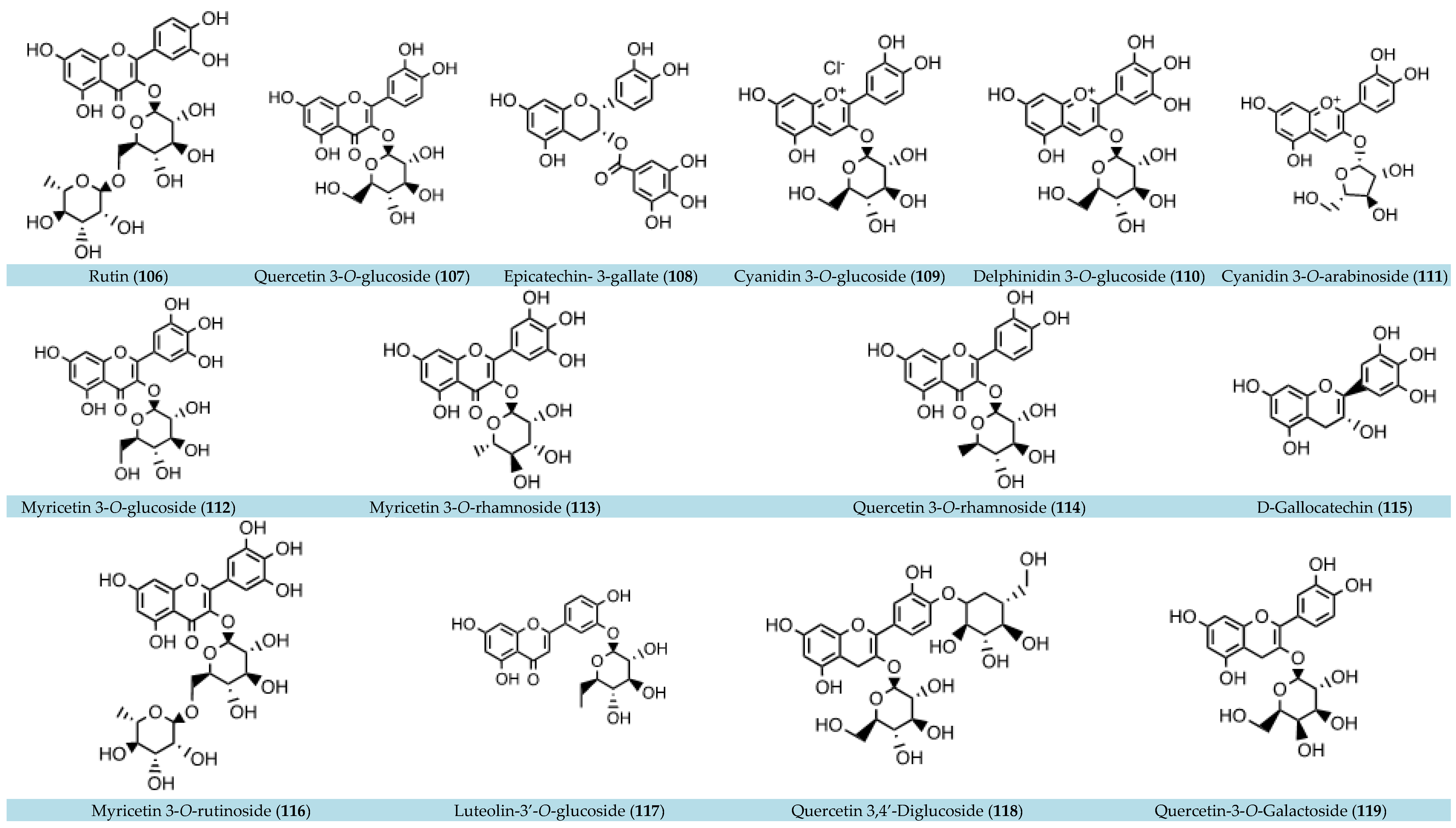 Nutrients 16 01638 g002e