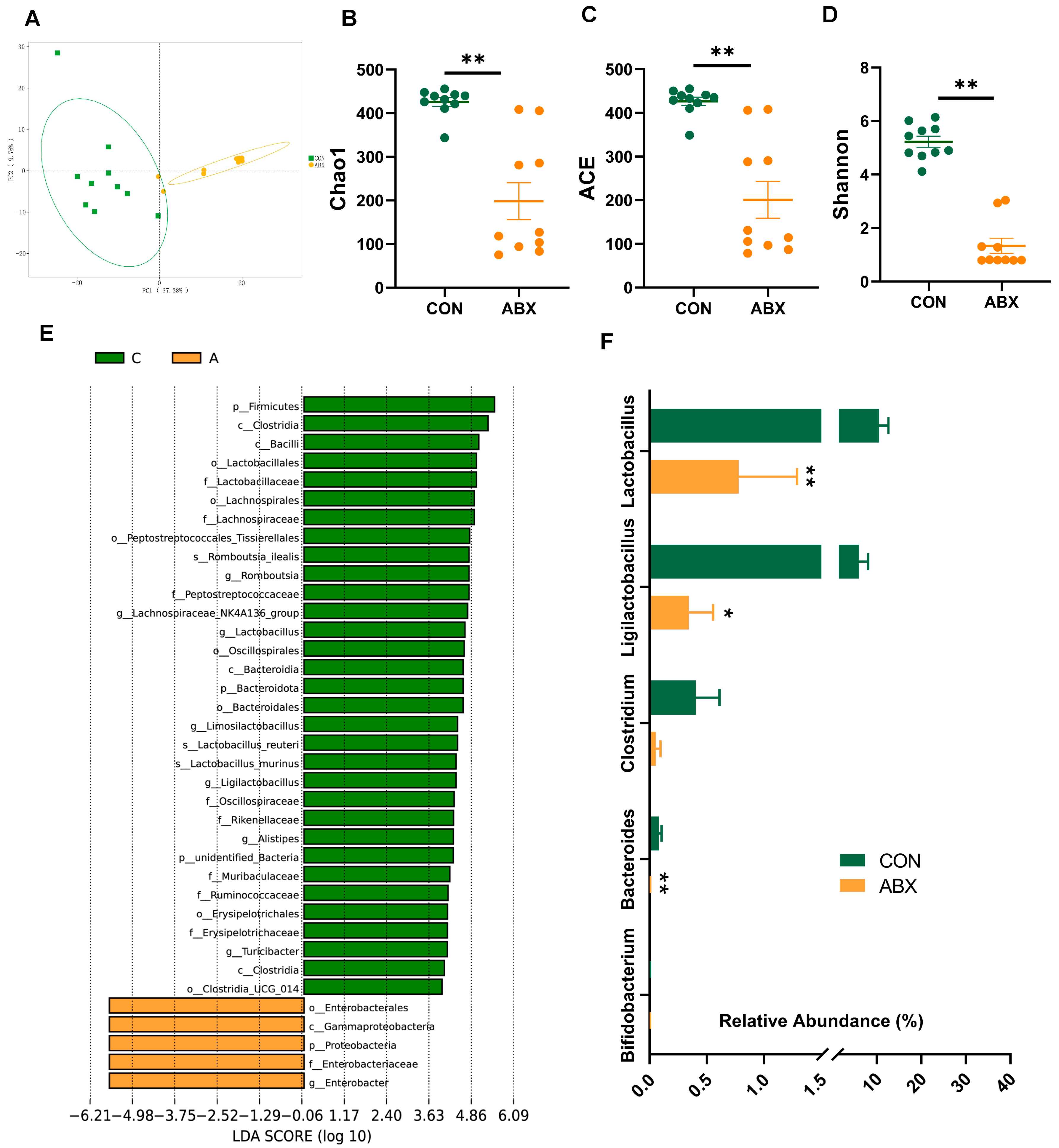 Nutrients 16 01644 g002