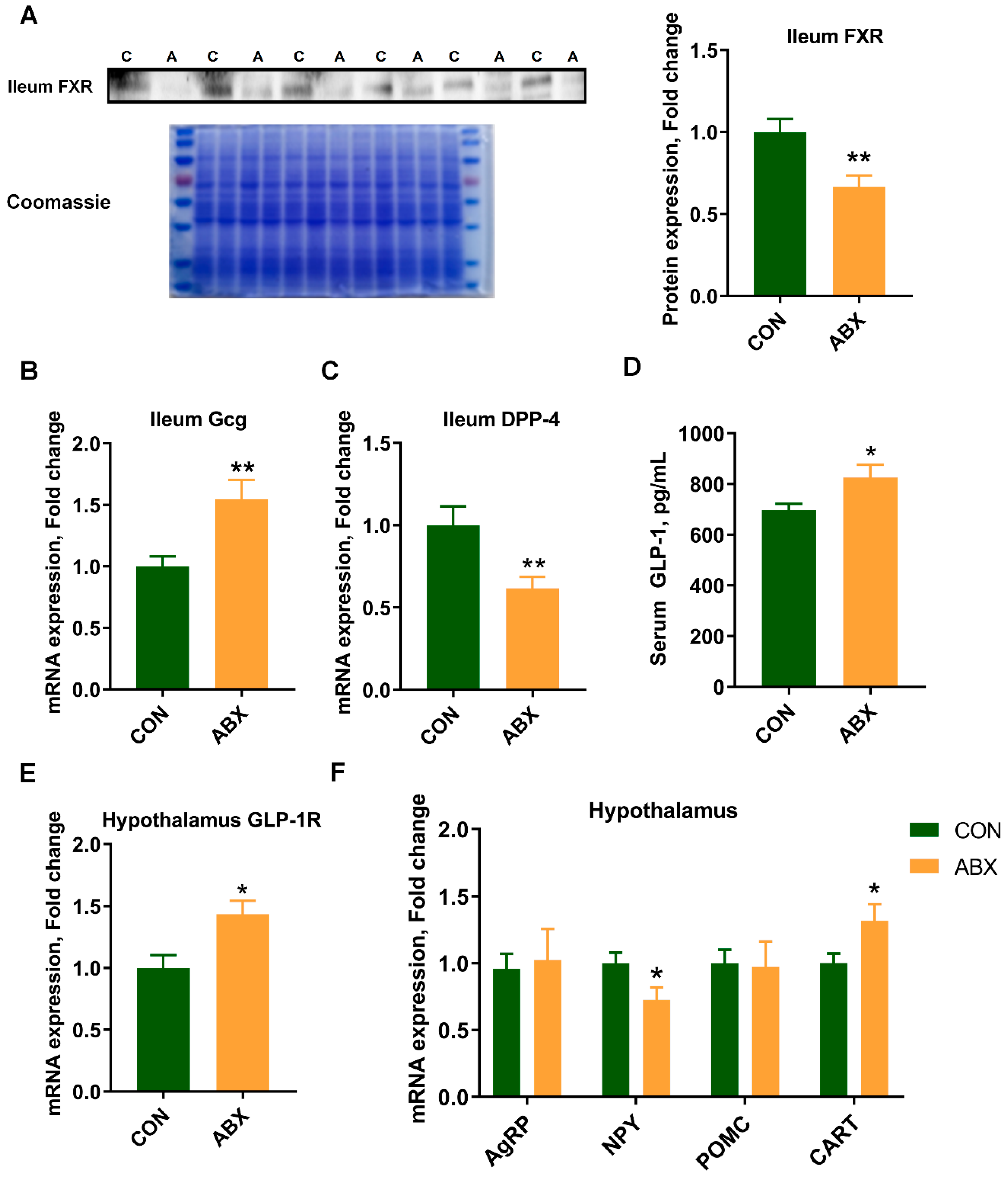 Nutrients 16 01644 g004