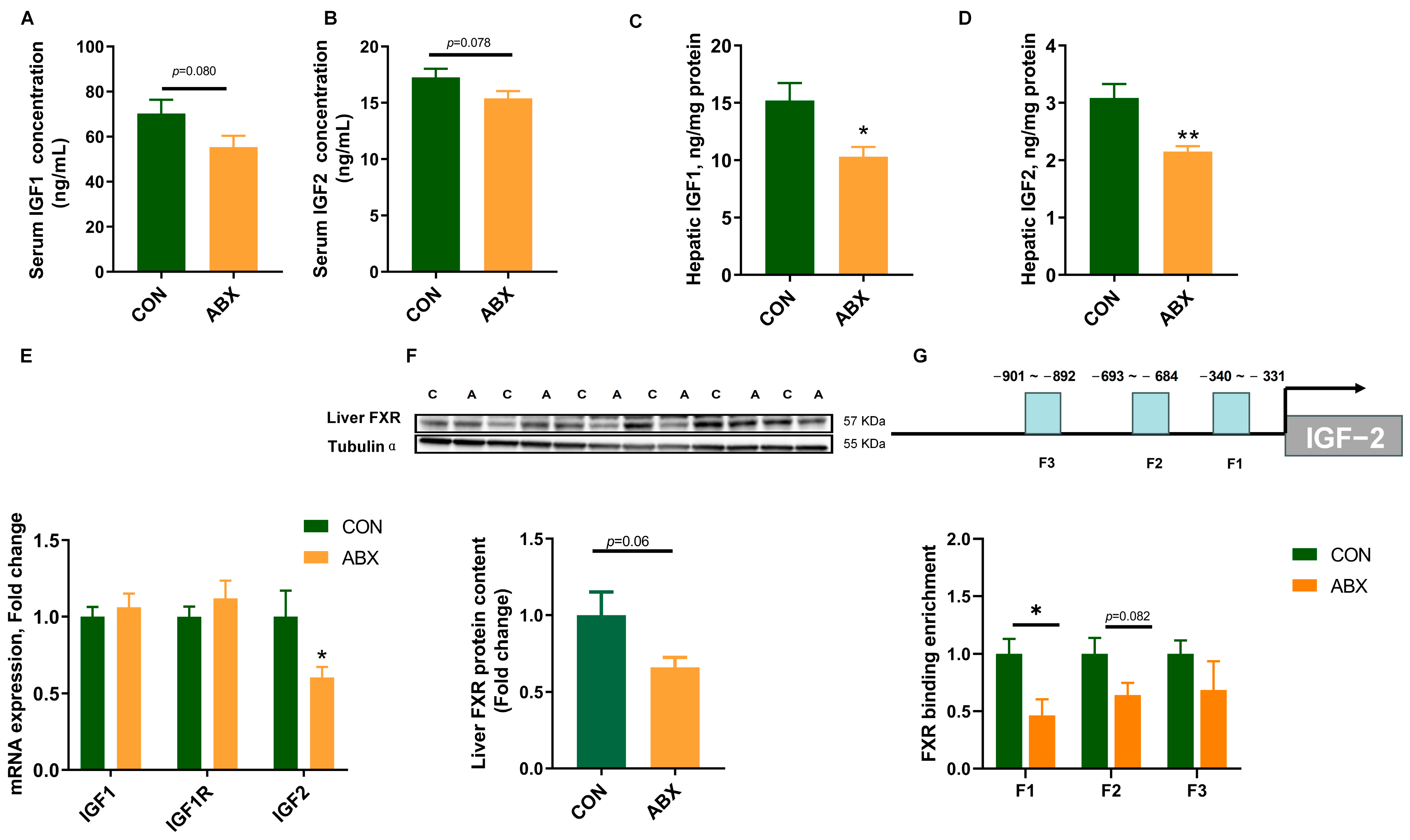 Nutrients 16 01644 g005