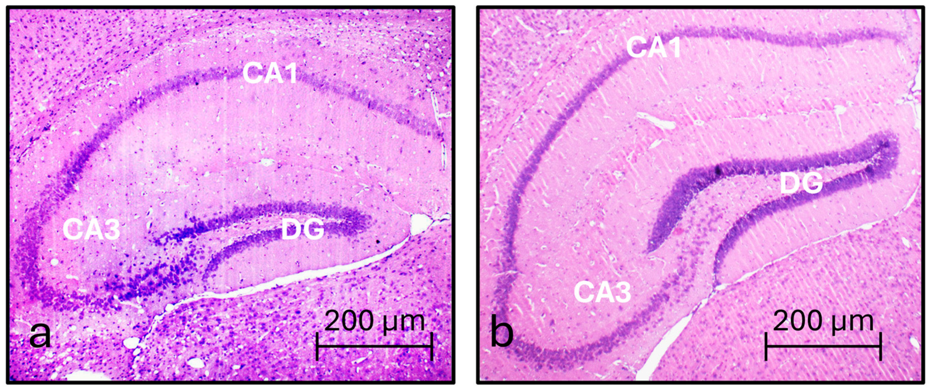 Nutrients 16 01652 g001 Nutrients 16 01652 g001