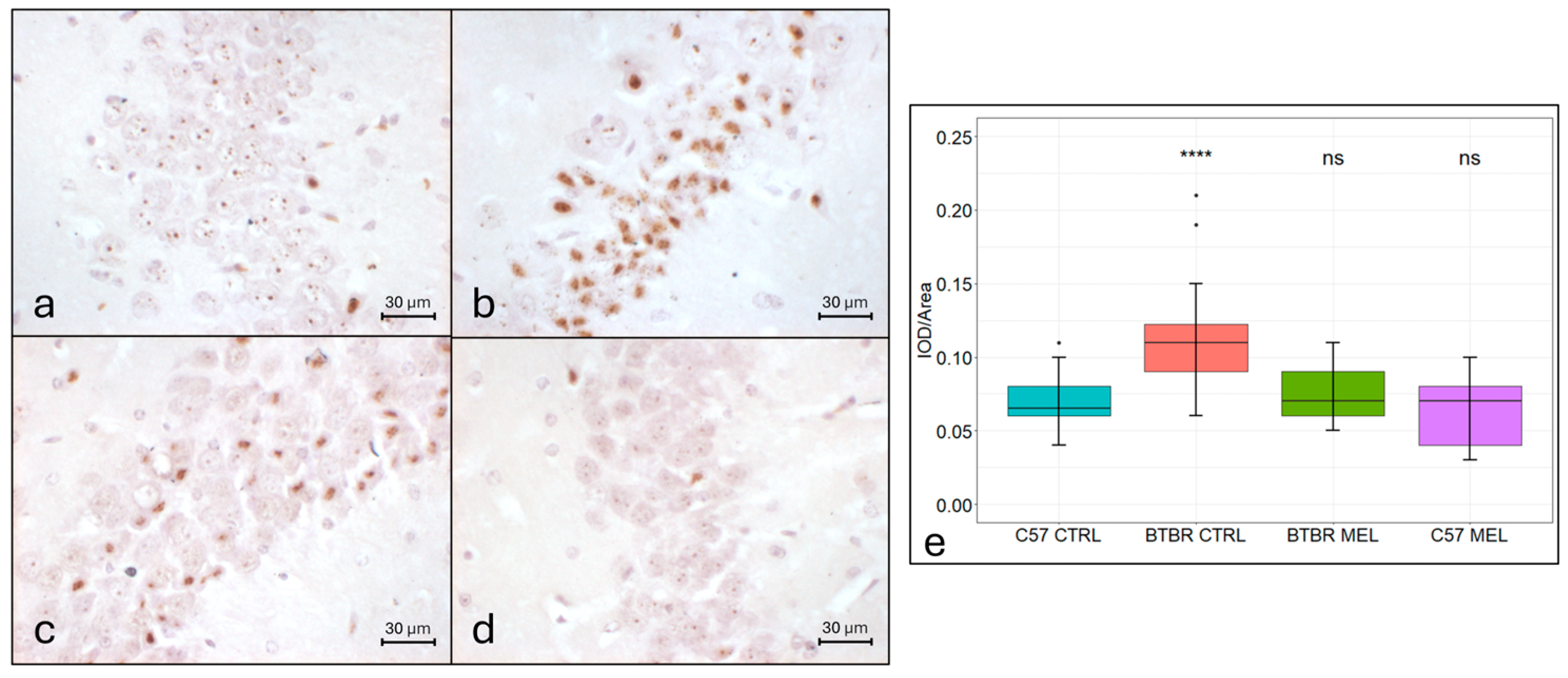 Nutrients 16 01652 g002 Nutrients 16 01652 g002