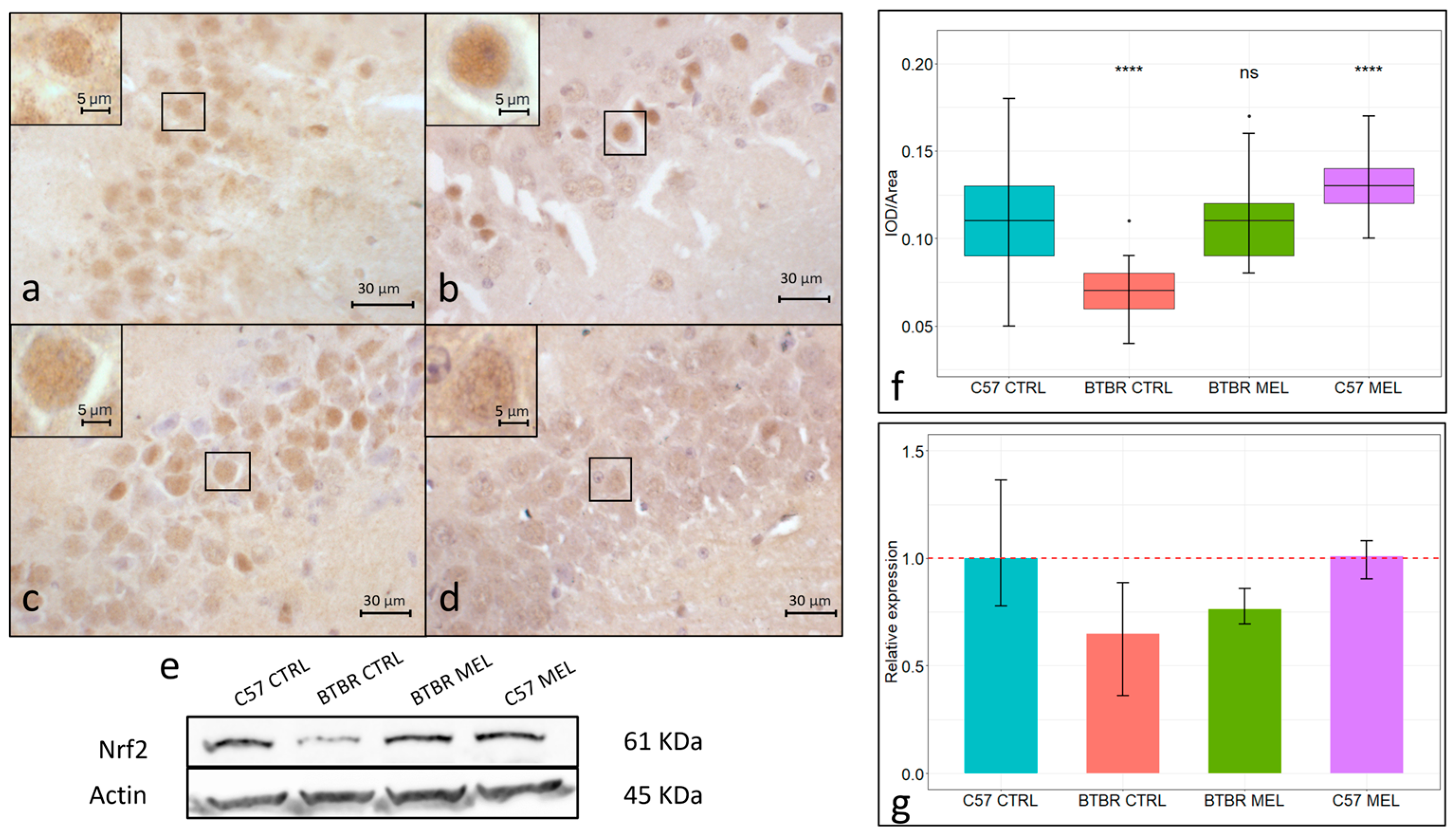 Nutrients 16 01652 g003 Nutrients 16 01652 g003