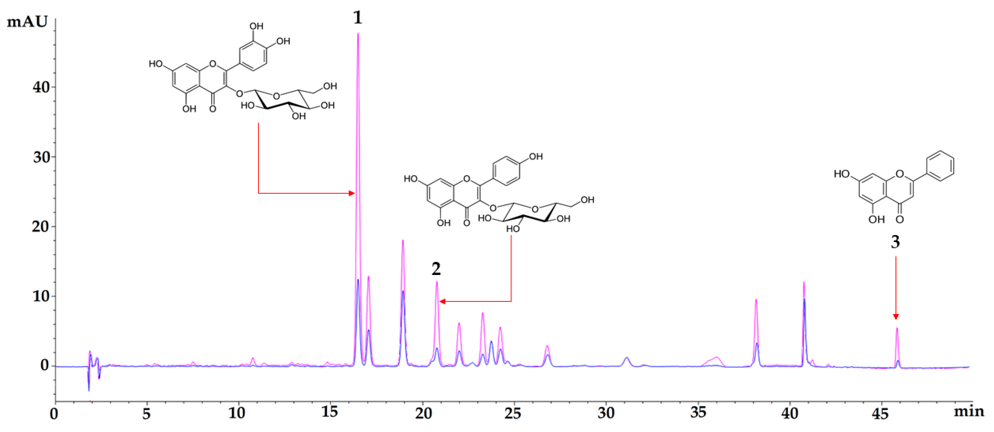 Nutrients 16 01669 g001 Nutrients 16 01669 g001