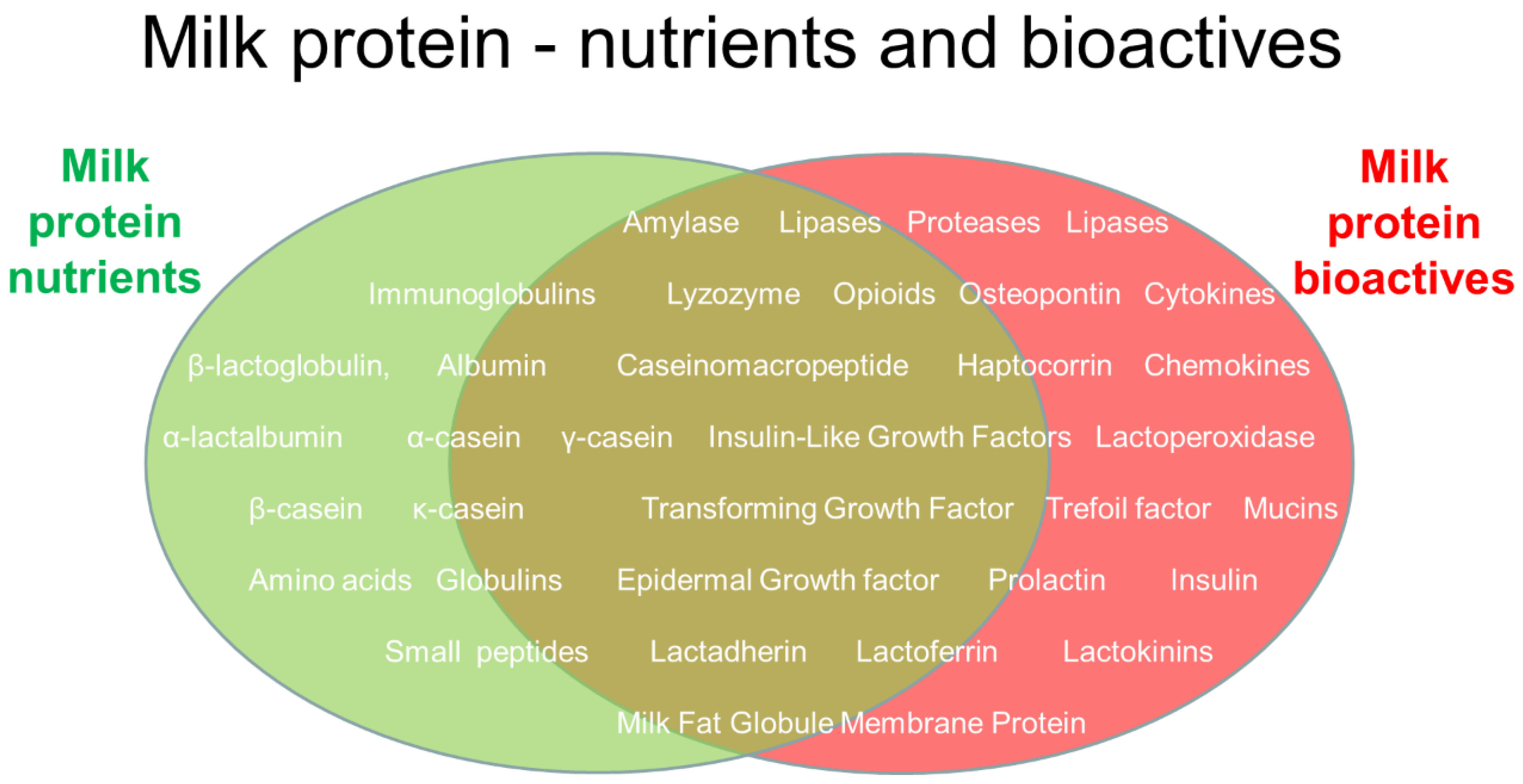 Nutrients 16 01676 g002