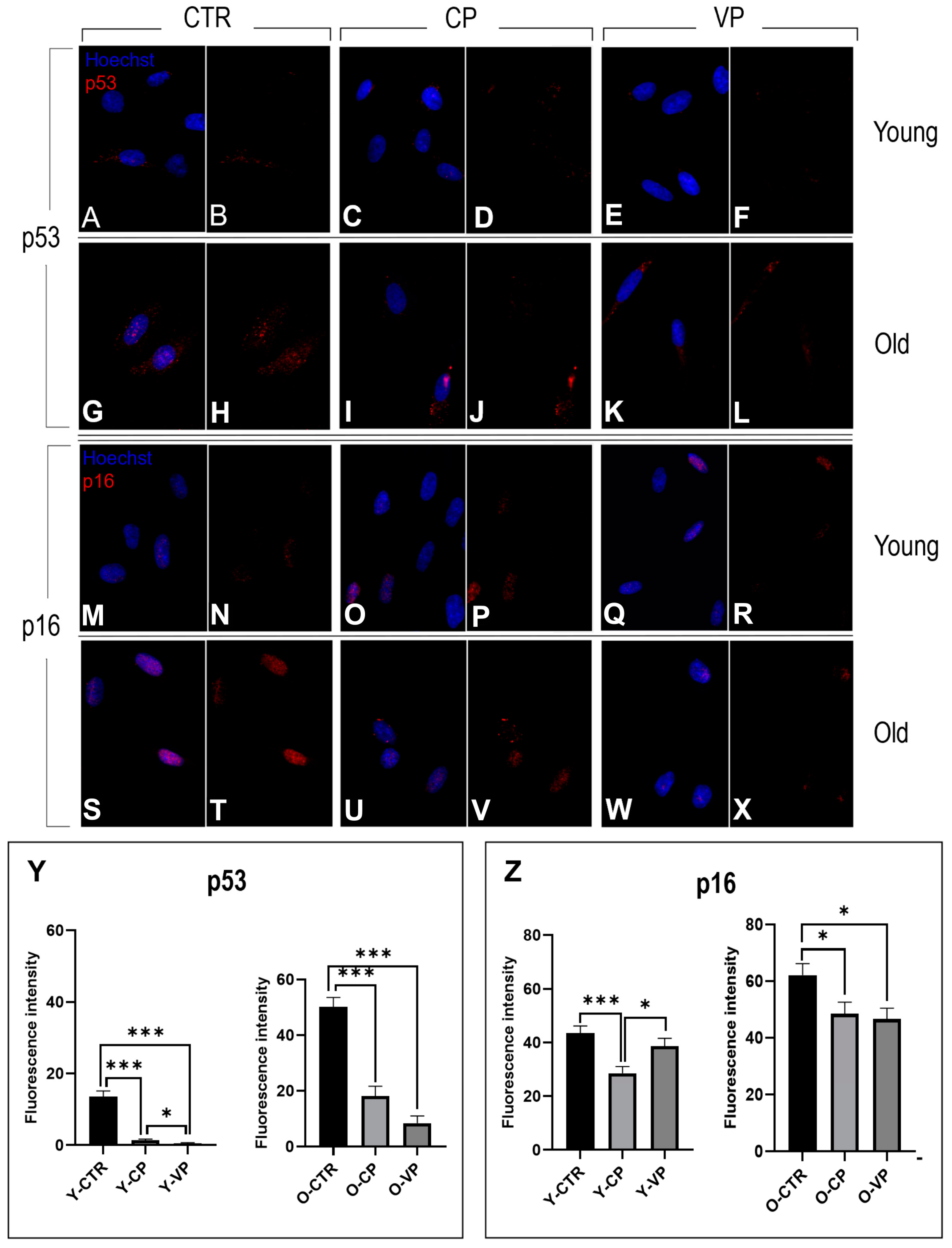 Nutrients 16 01681 g009