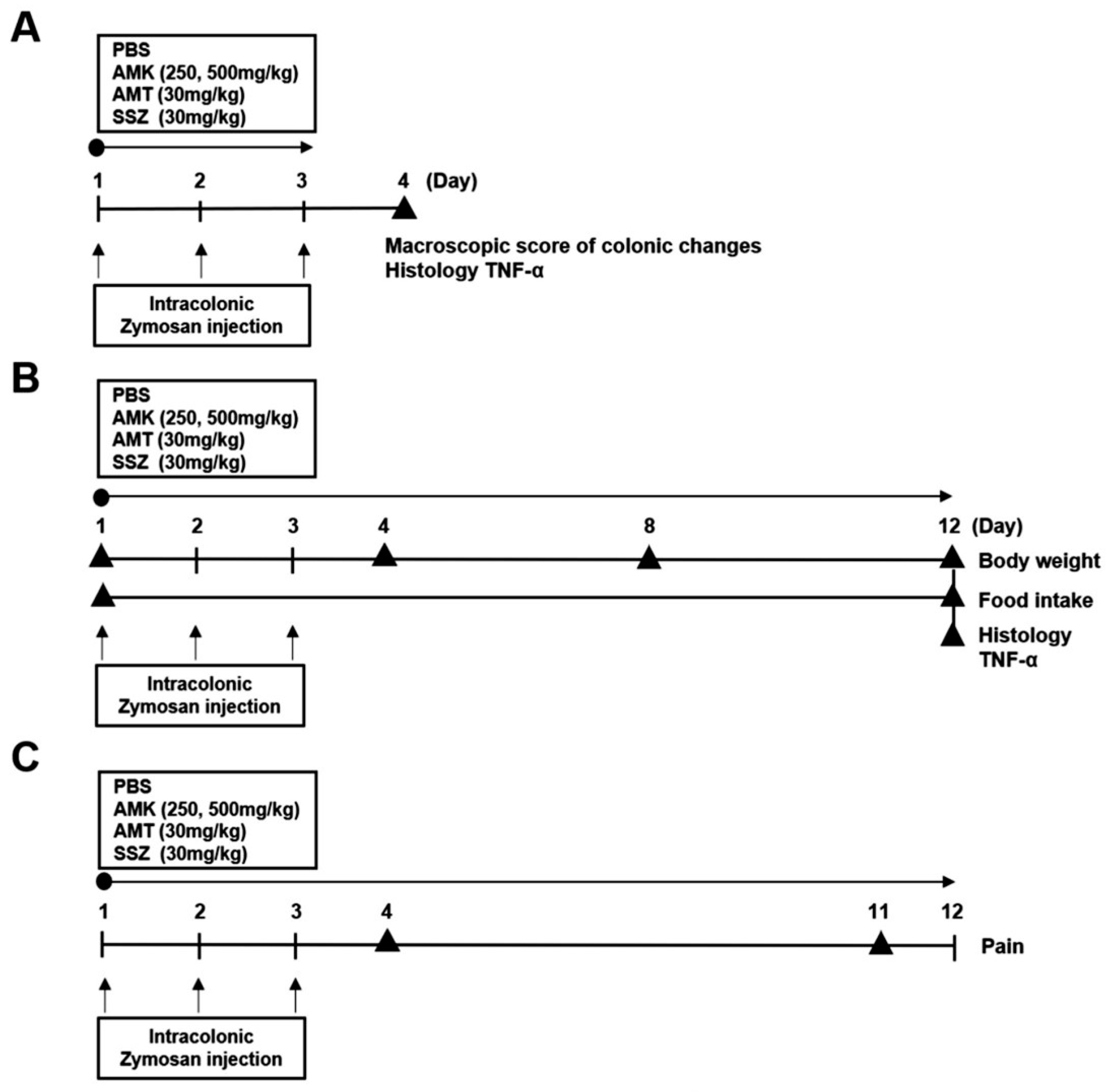 Nutrients 16 01683 g001