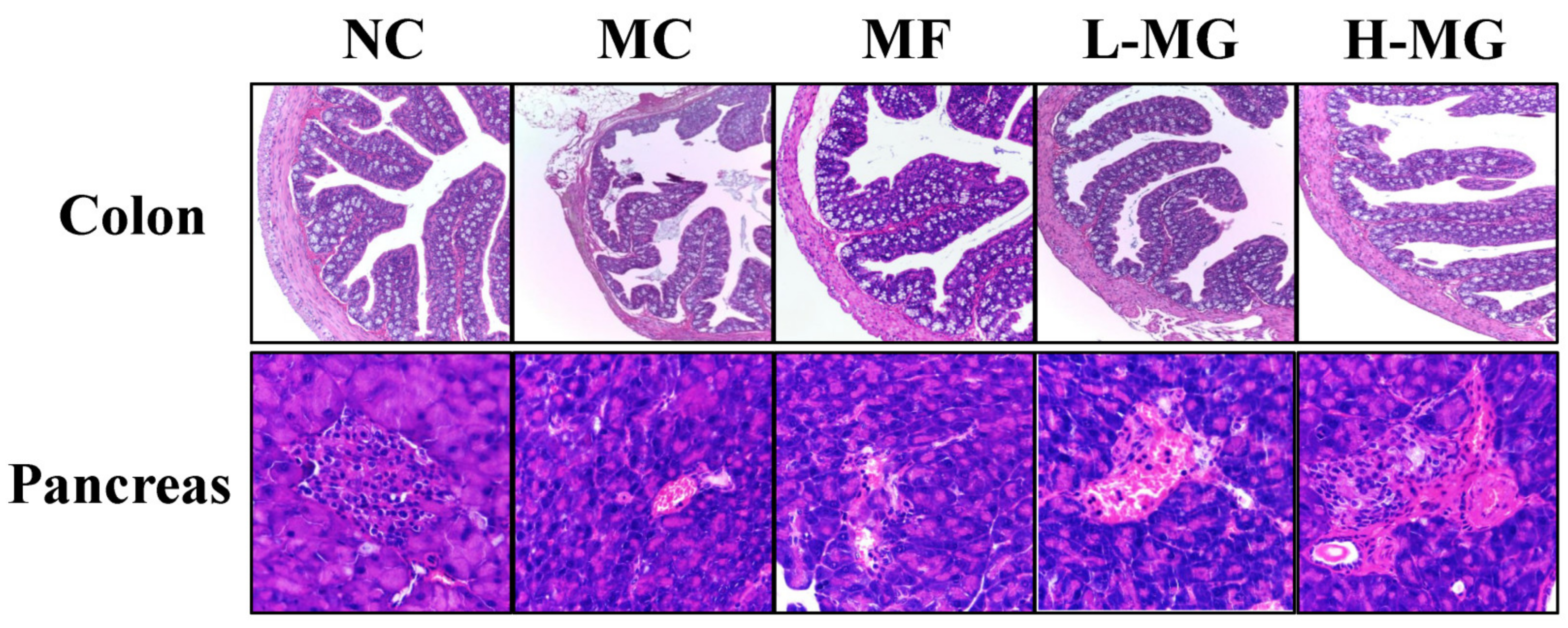 Nutrients 16 01691 g003