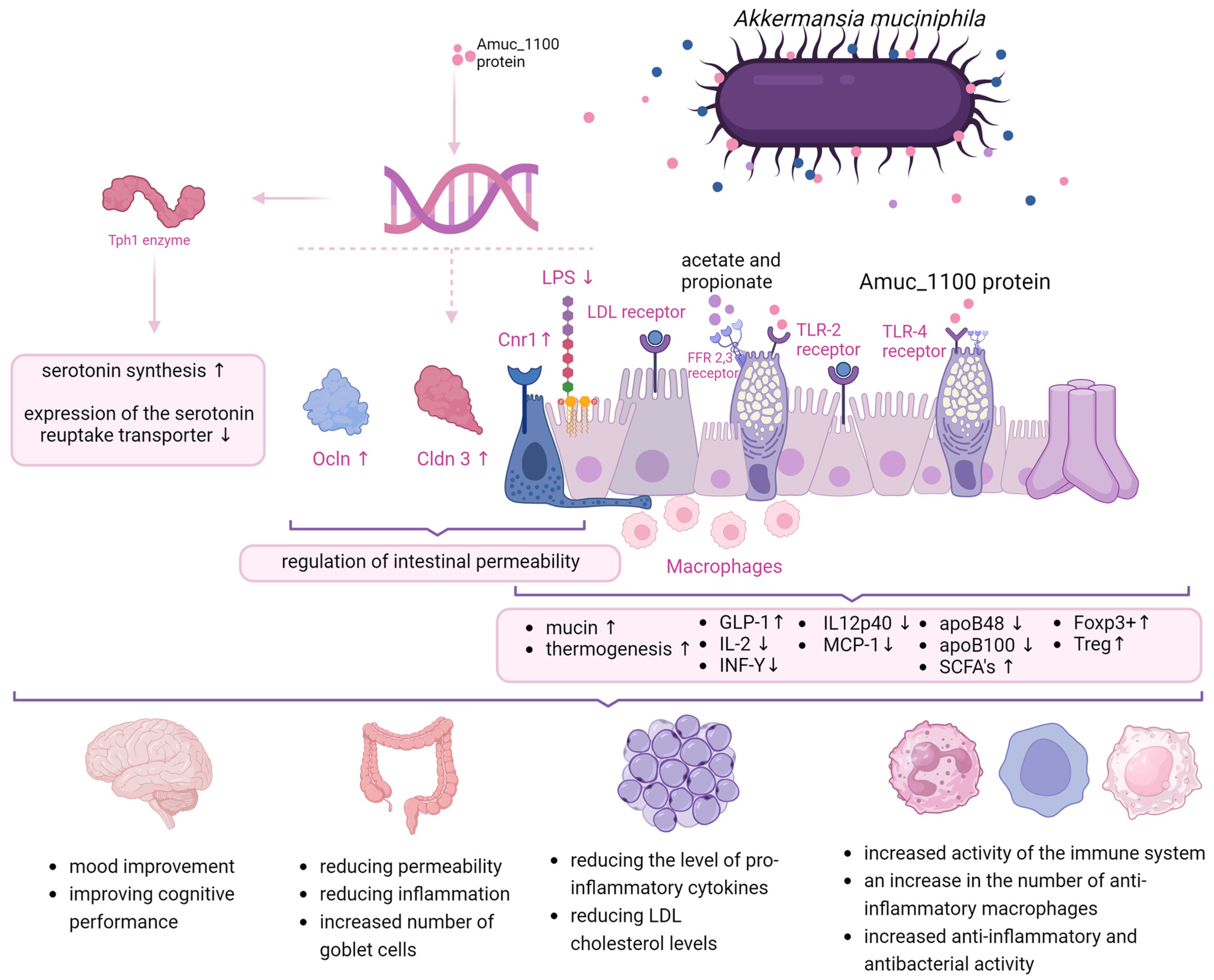 Nutrients 16 01695 g001