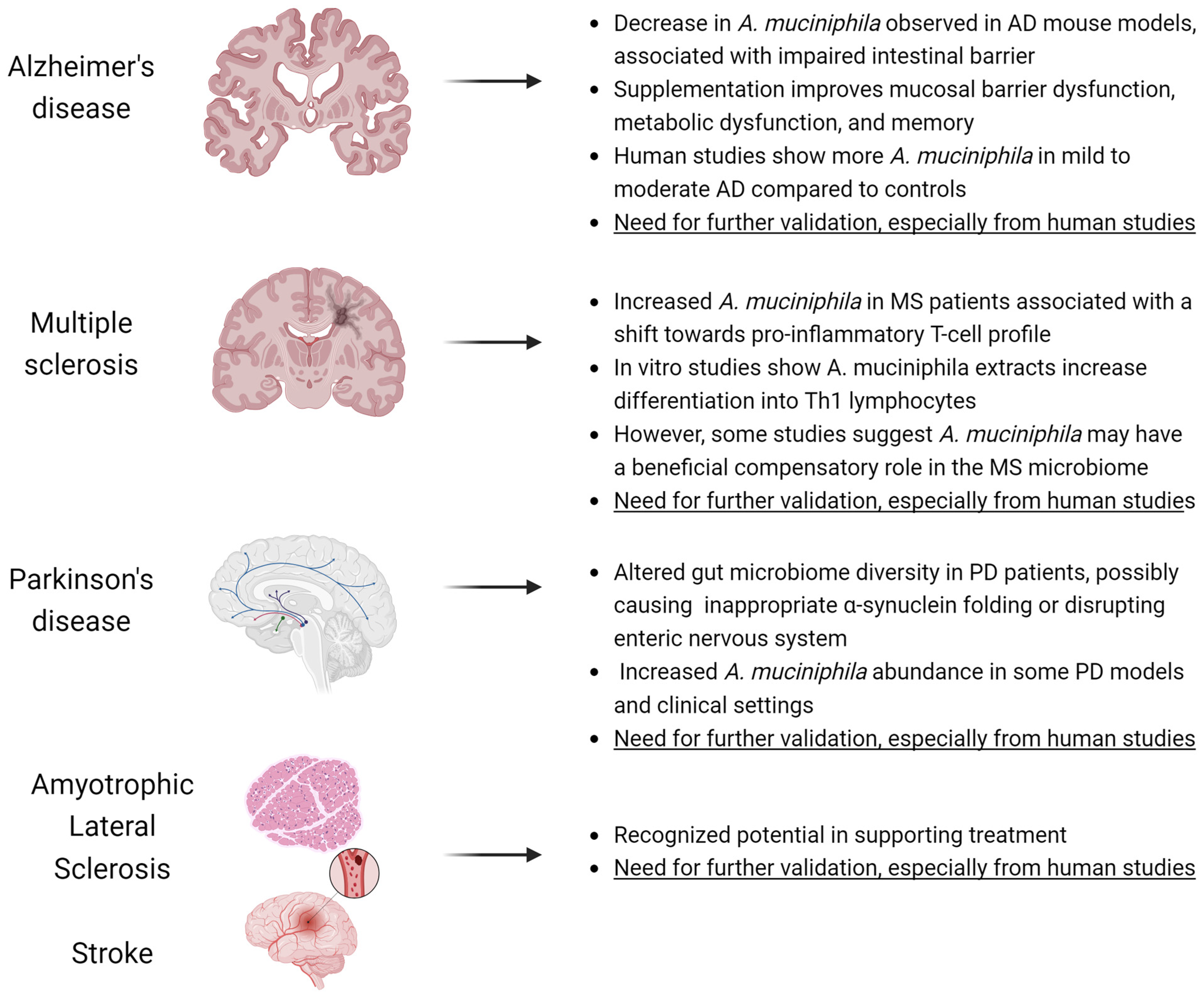 Nutrients 16 01695 g003