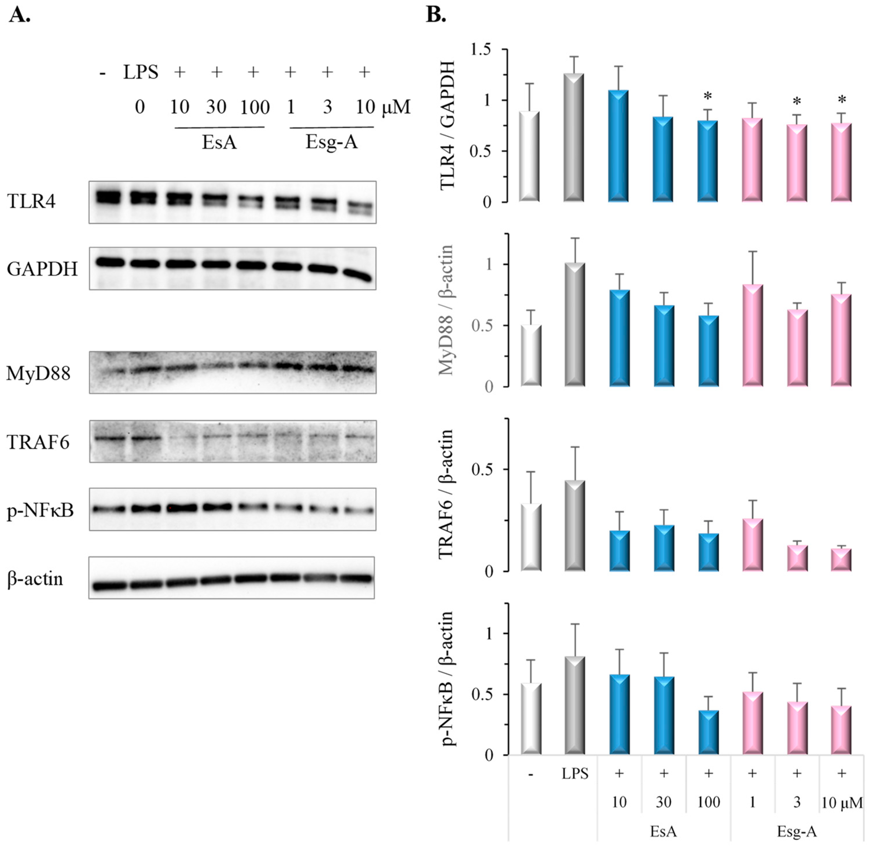Nutrients 16 01699 g006