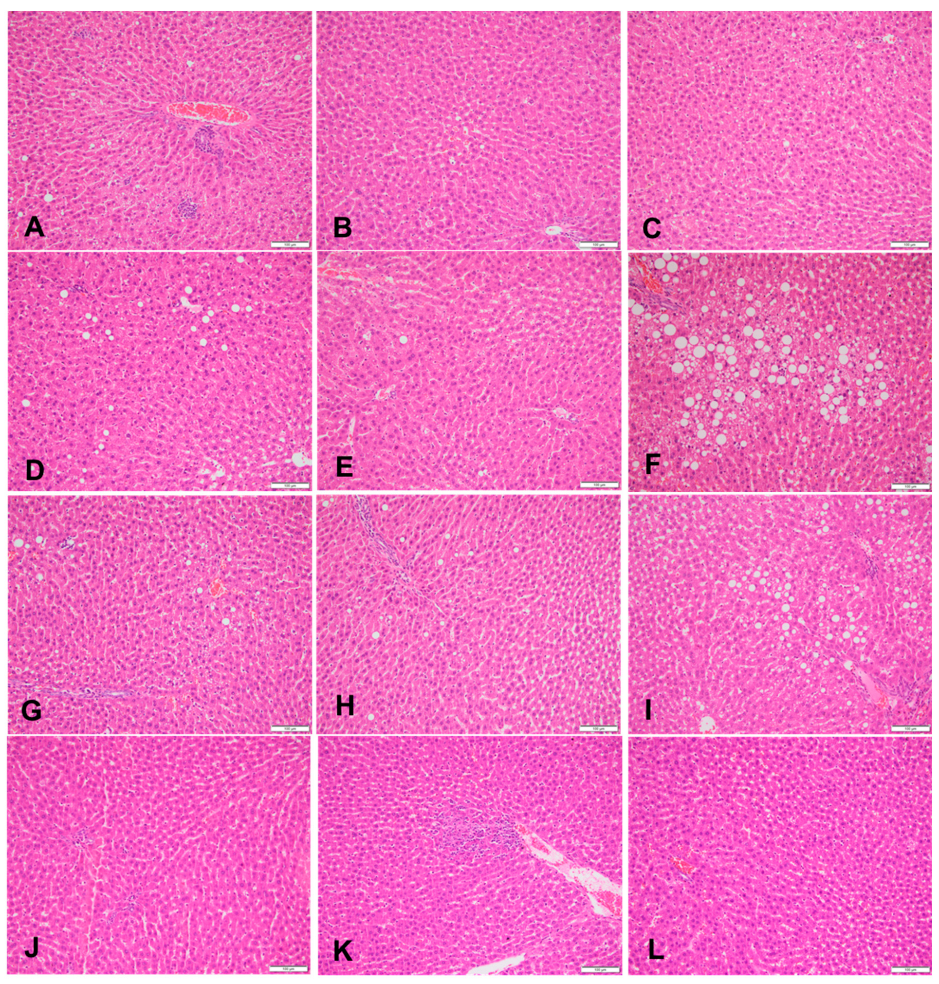 Nutrients 16 01701 g001 Nutrients 16 01701 g001