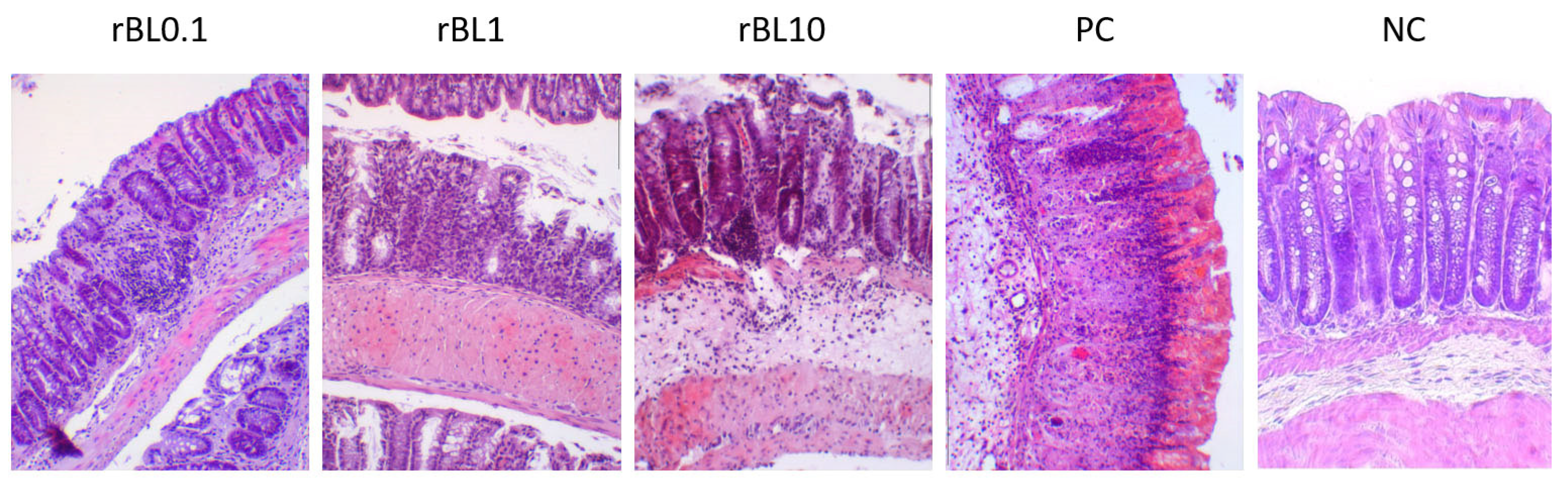 Nutrients 16 01705 g002