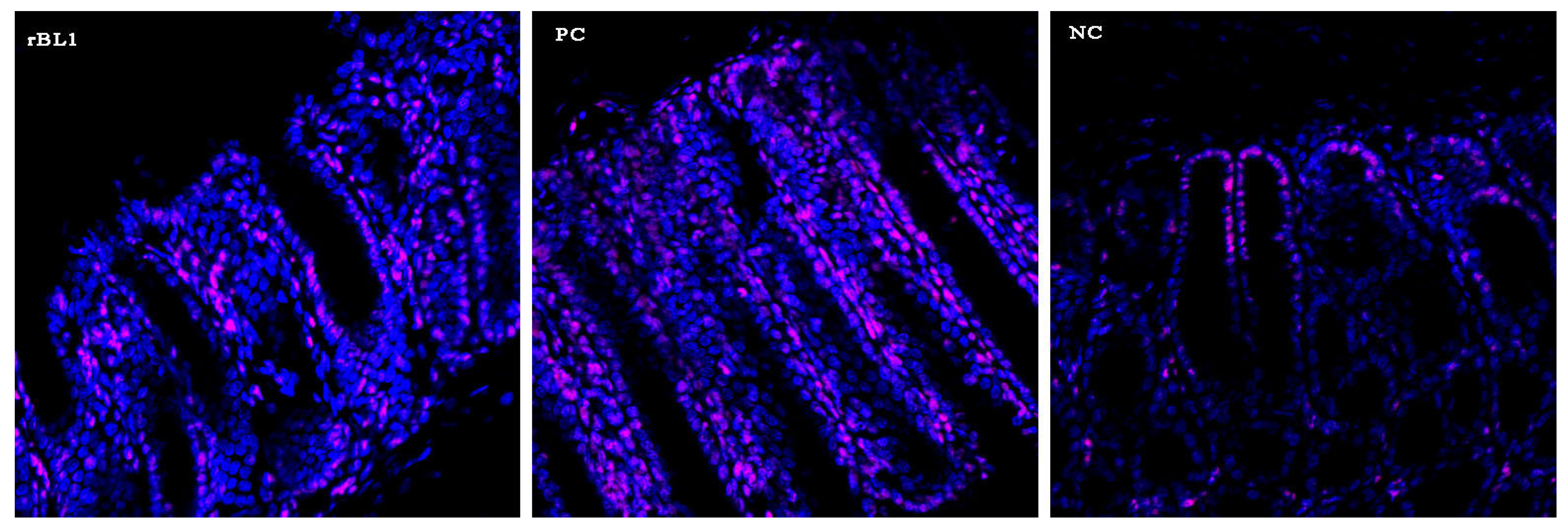 Nutrients 16 01705 g0a1