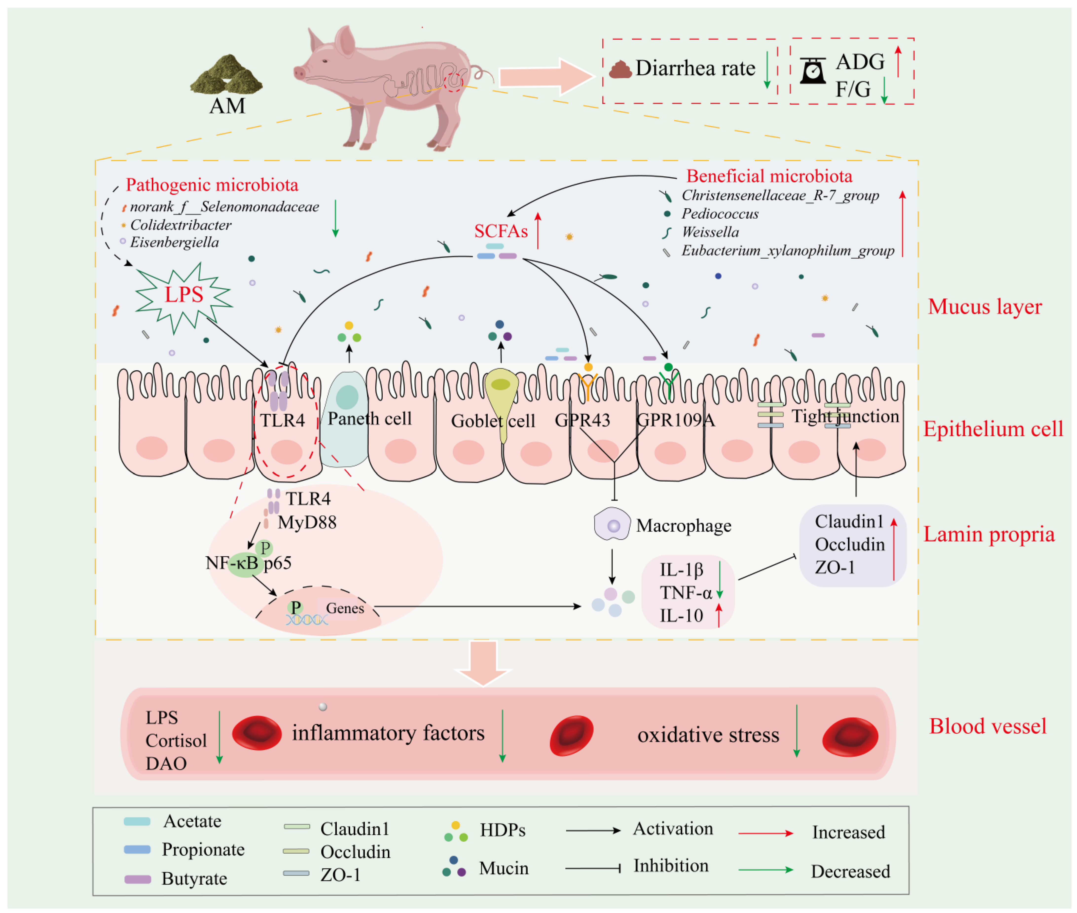 Nutrients 16 01714 g007