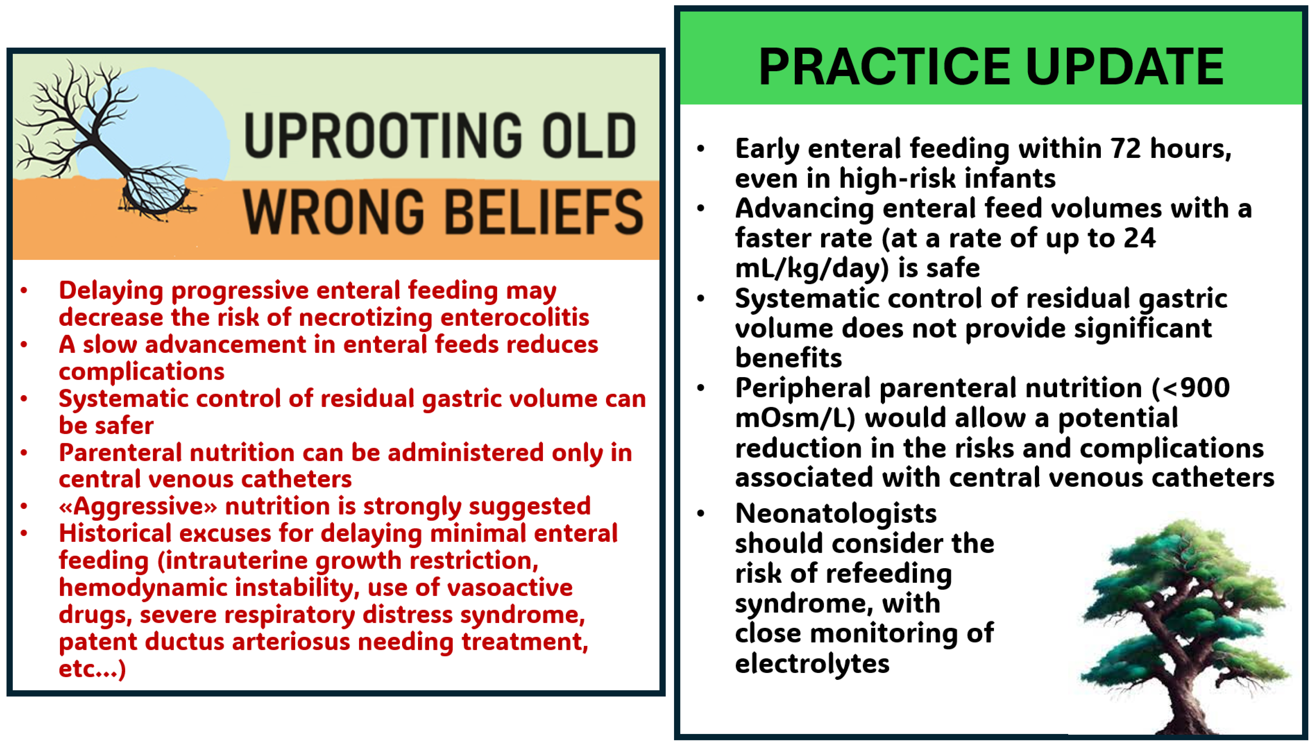 Nutrients 16 01719 g001