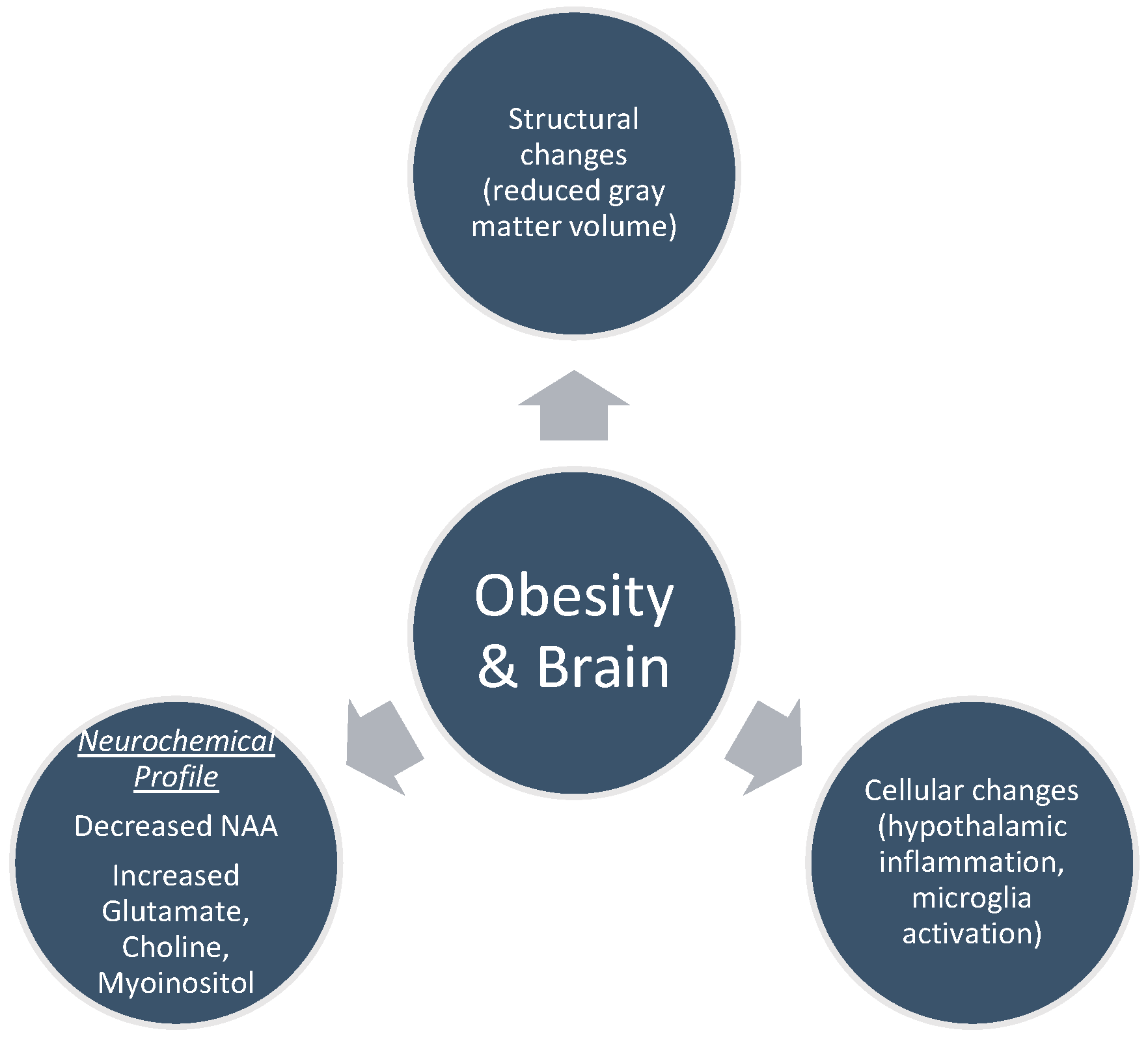 Nutrients 16 01720 g002