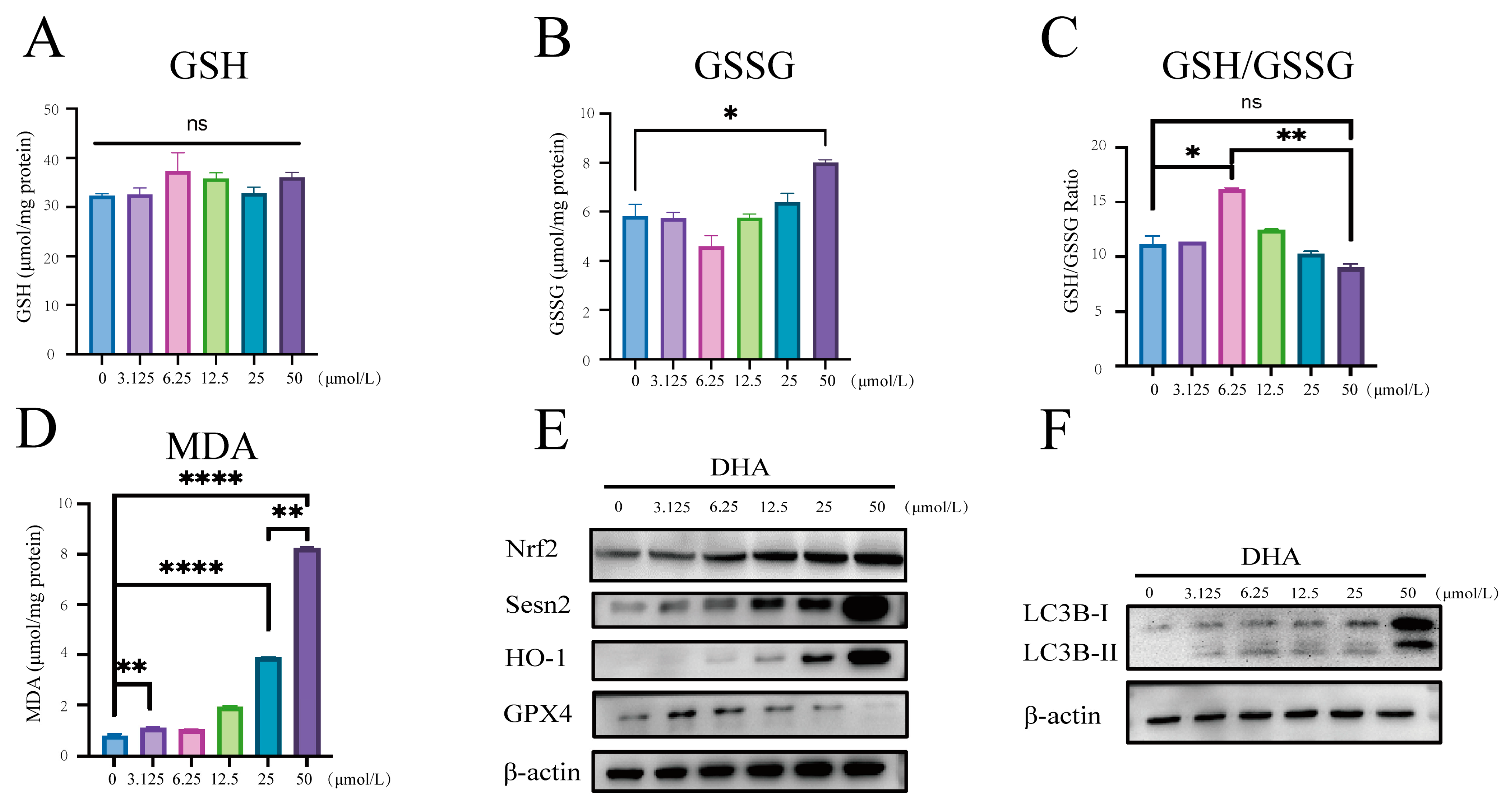 Nutrients 16 01737 g002