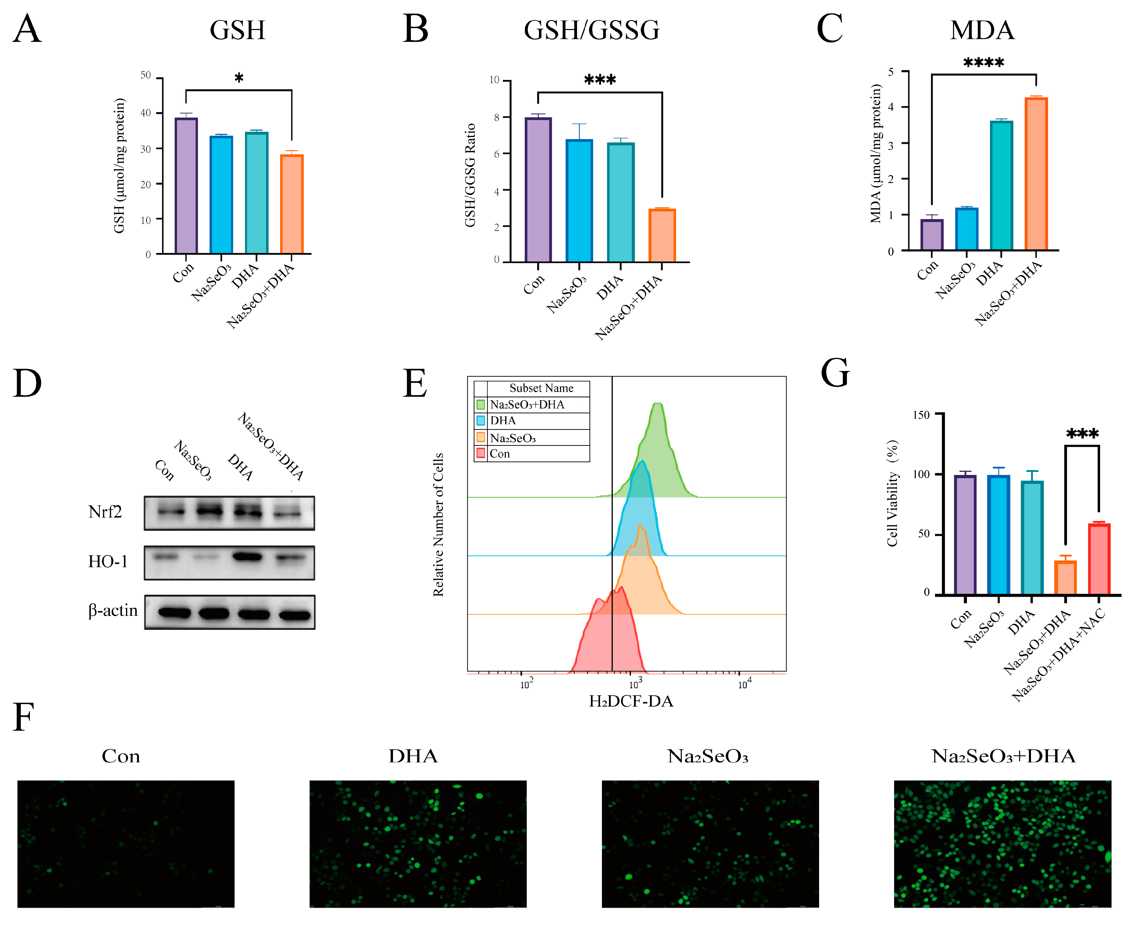 Nutrients 16 01737 g003