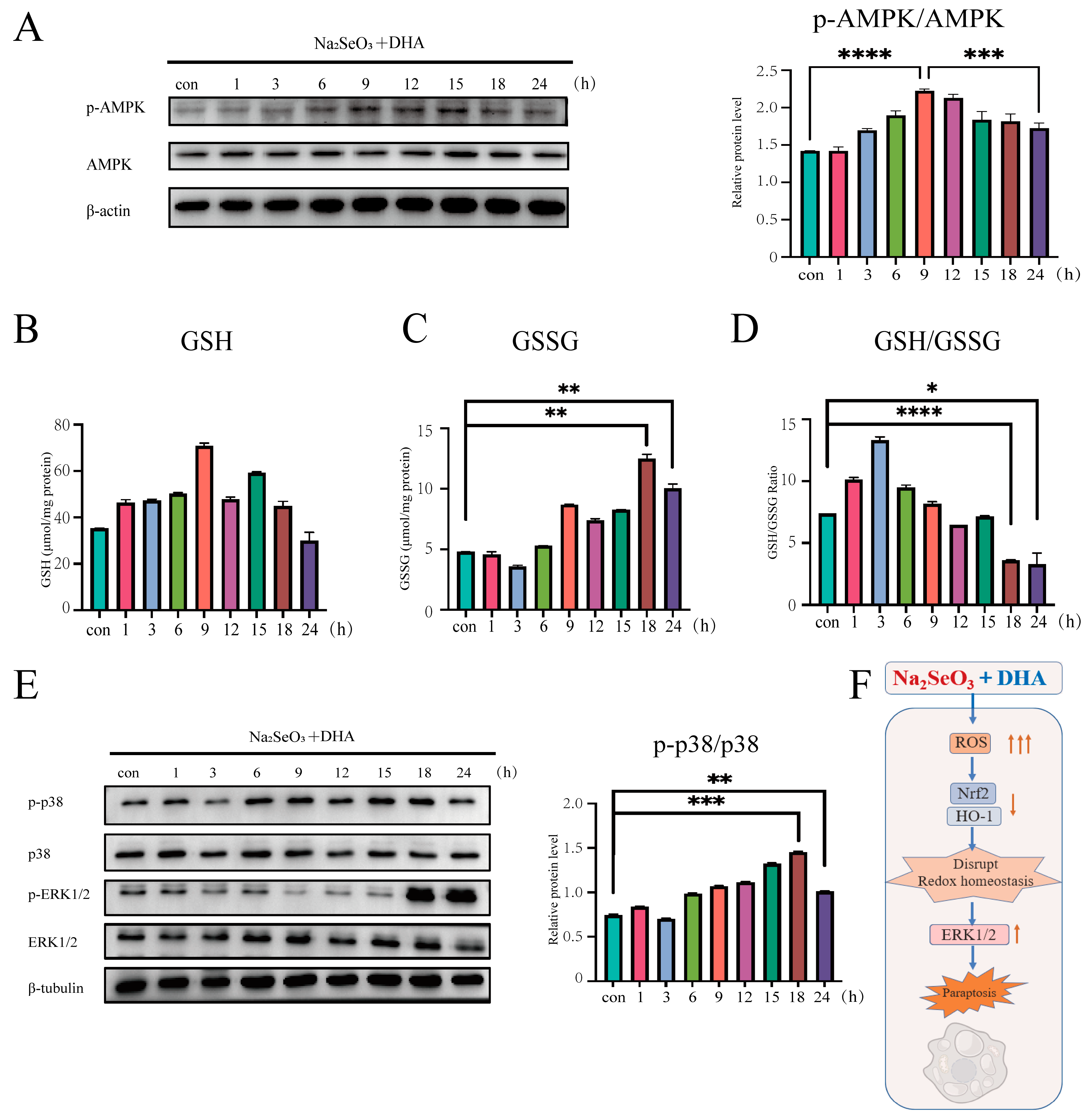 Nutrients 16 01737 g005