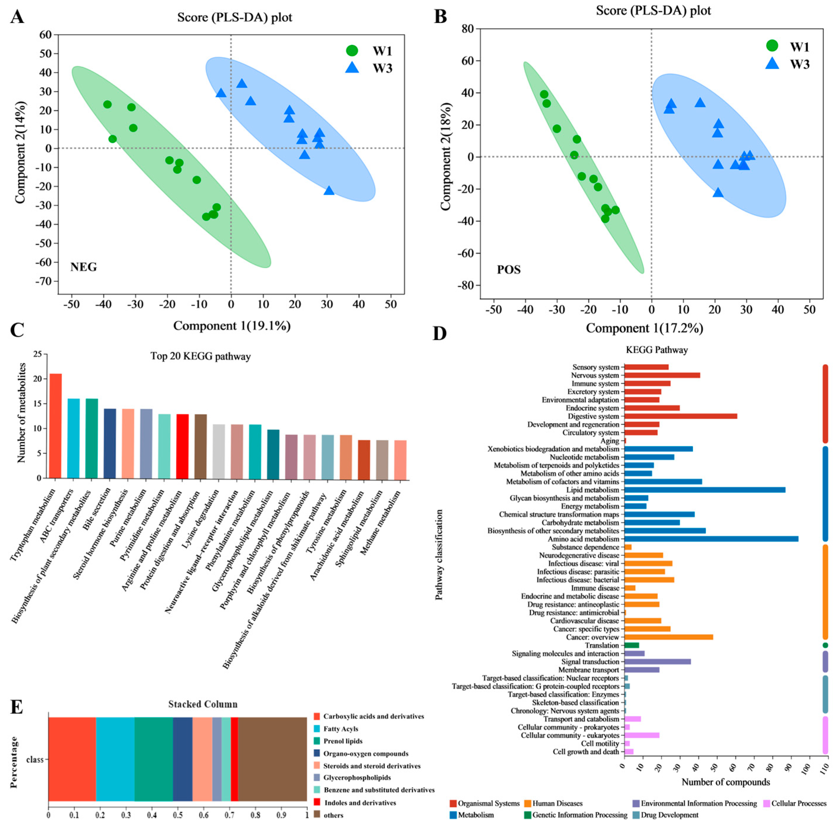 Nutrients 16 01761 g003