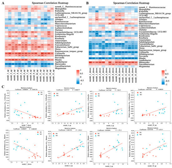 A Cross Talking between the Gut Microbiota and Metabolites of ...