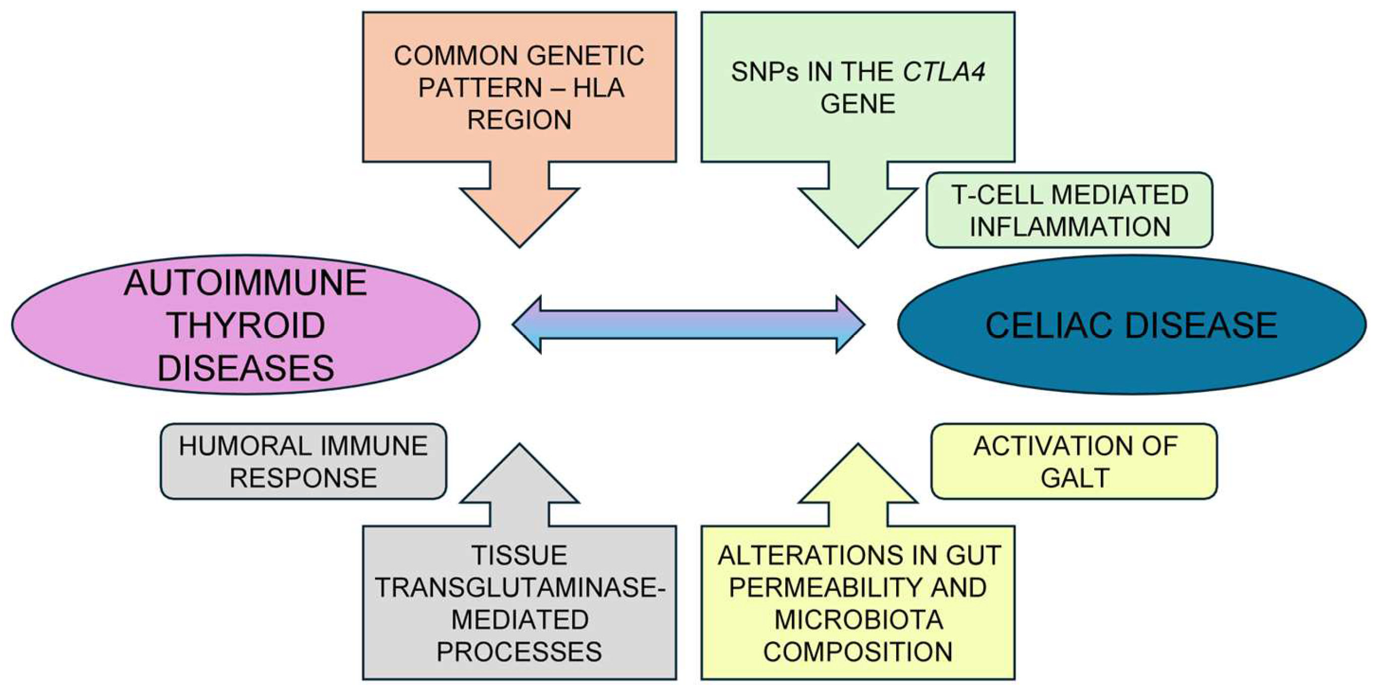 Nutrients 16 01762 g002 Nutrients 16 01762 g002