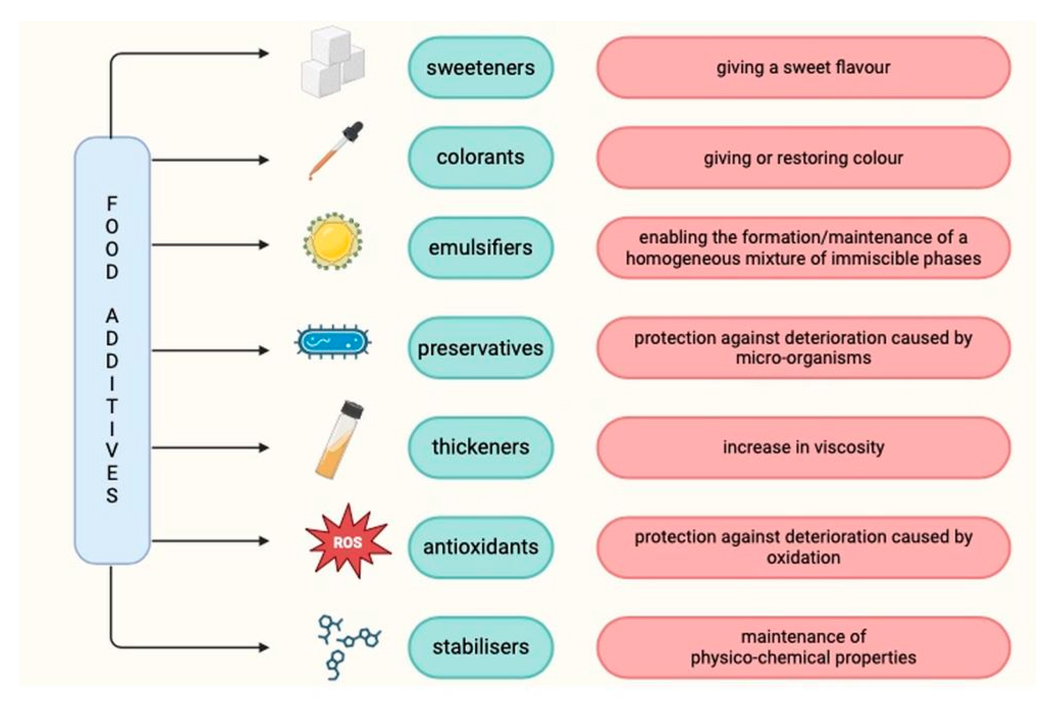 Nutrients 16 01780 g002