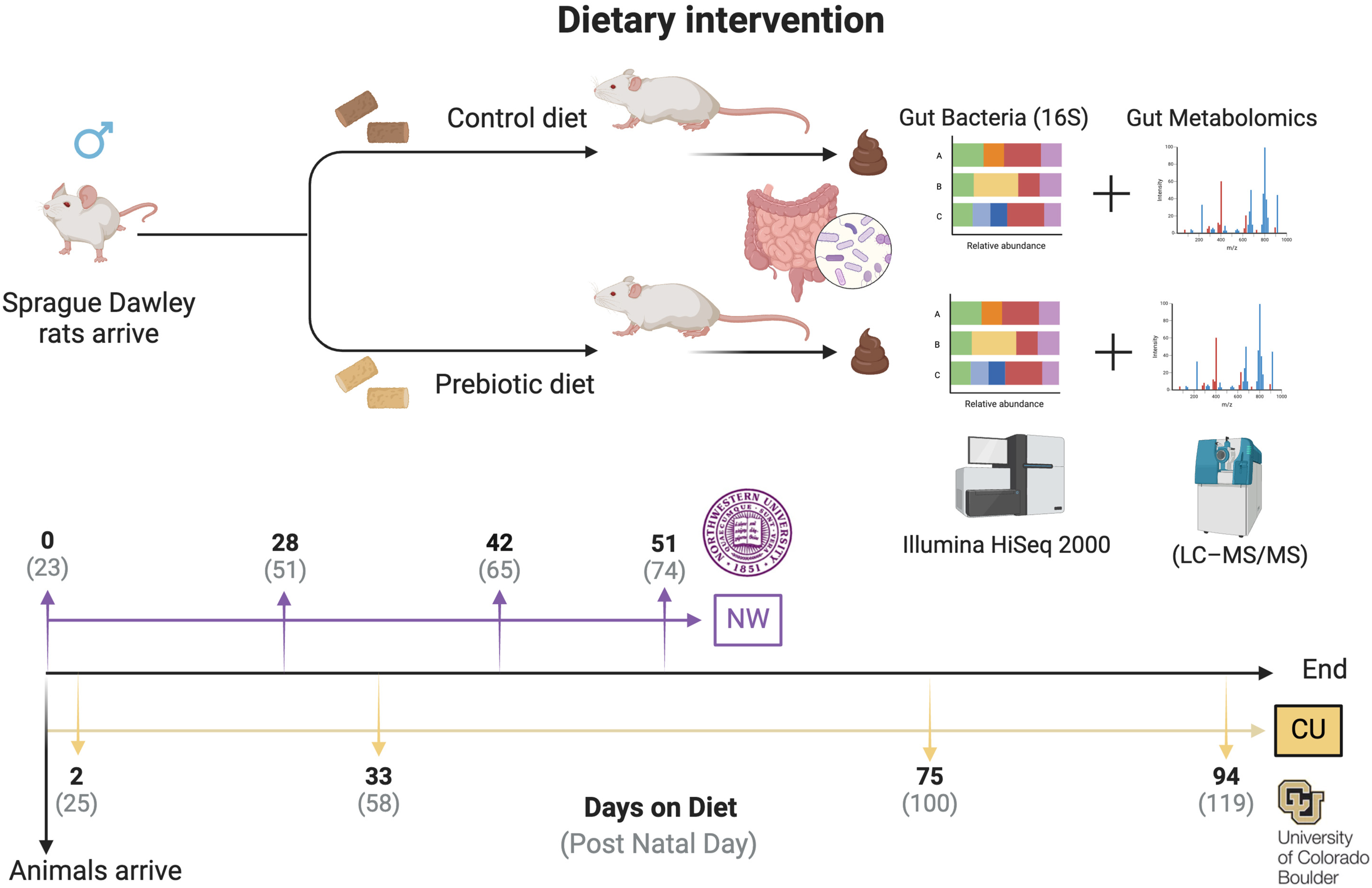Nutrients 16 01790 g001
