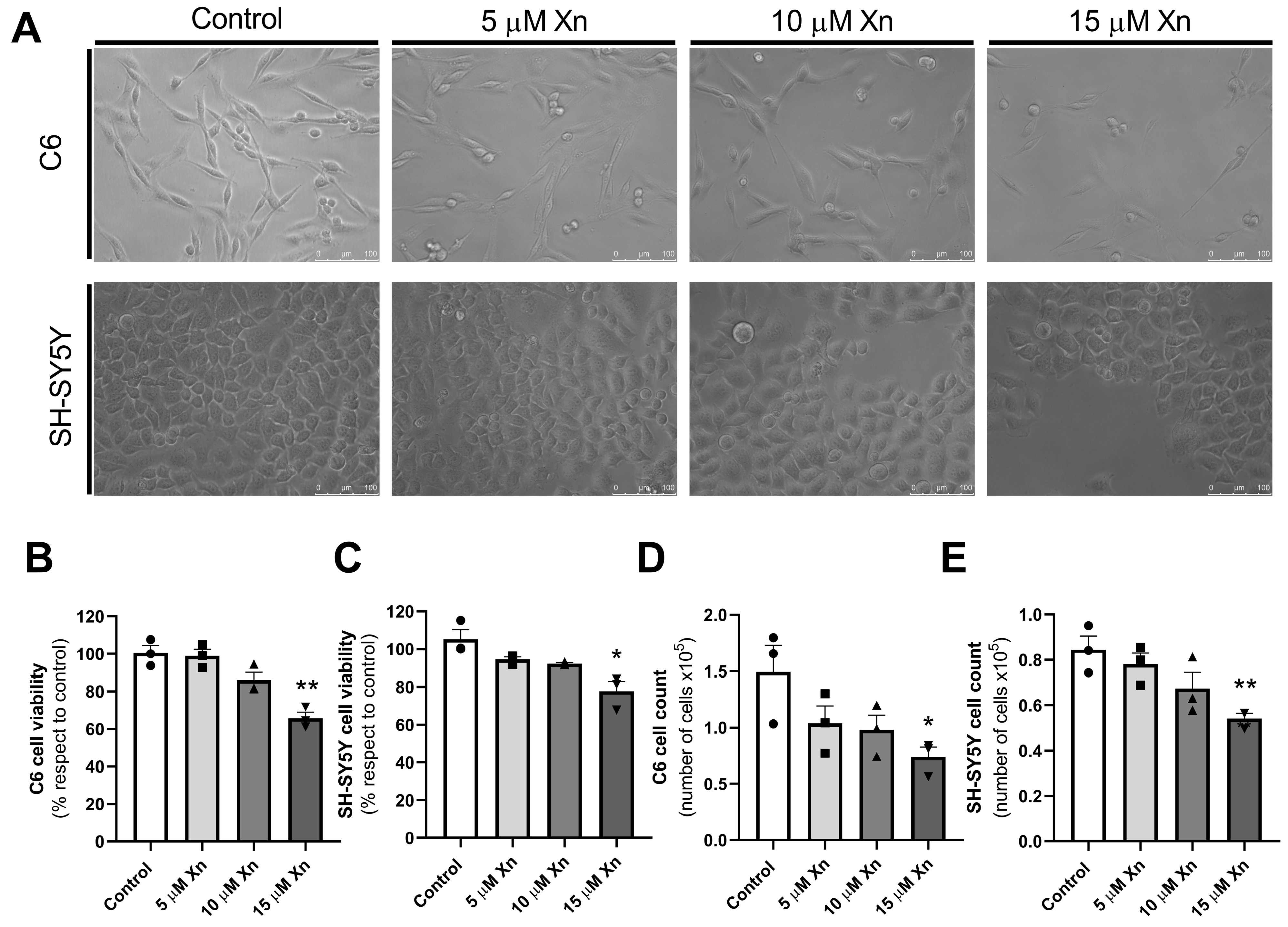Nutrients 16 01792 g001