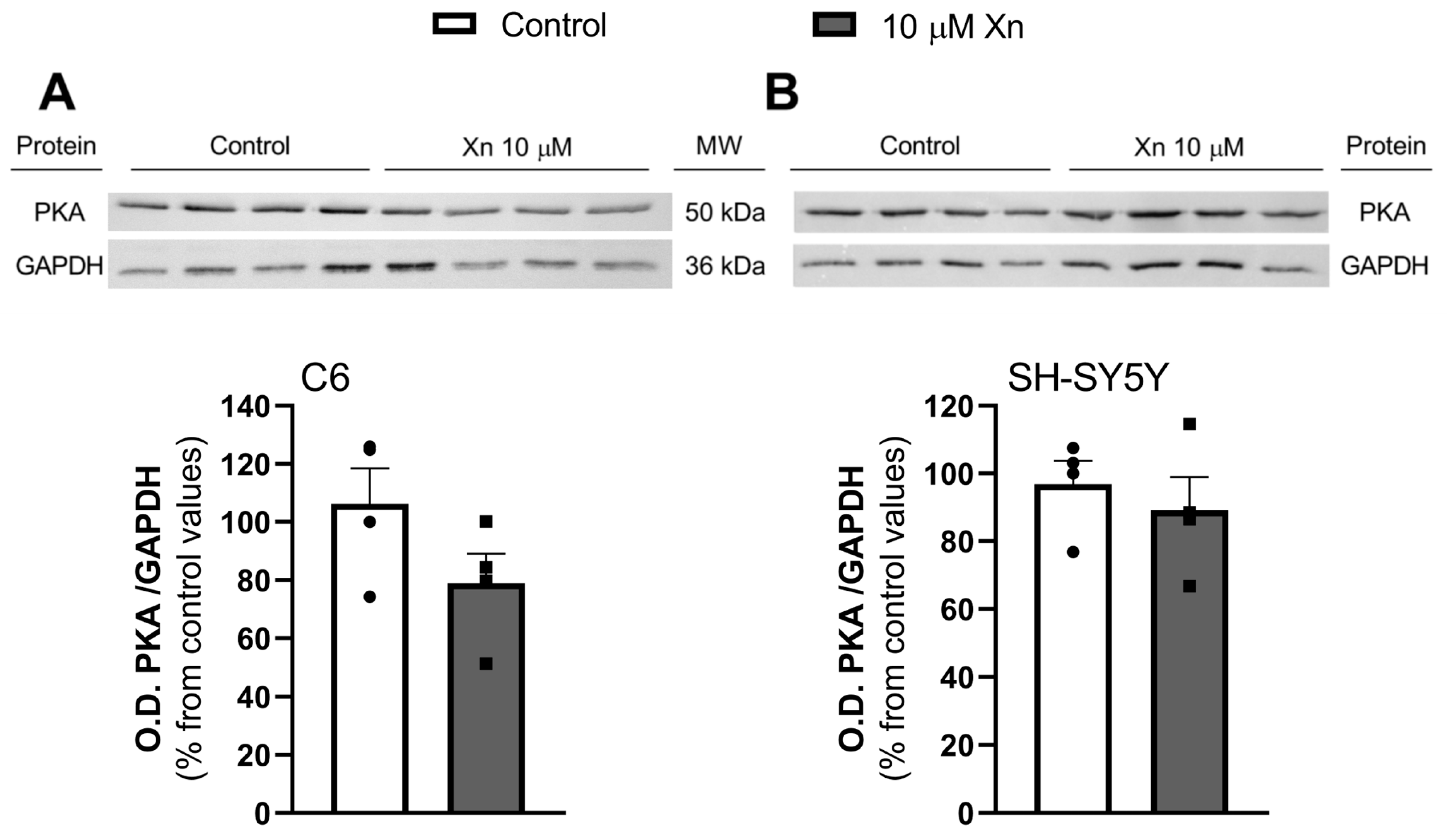 Nutrients 16 01792 g005