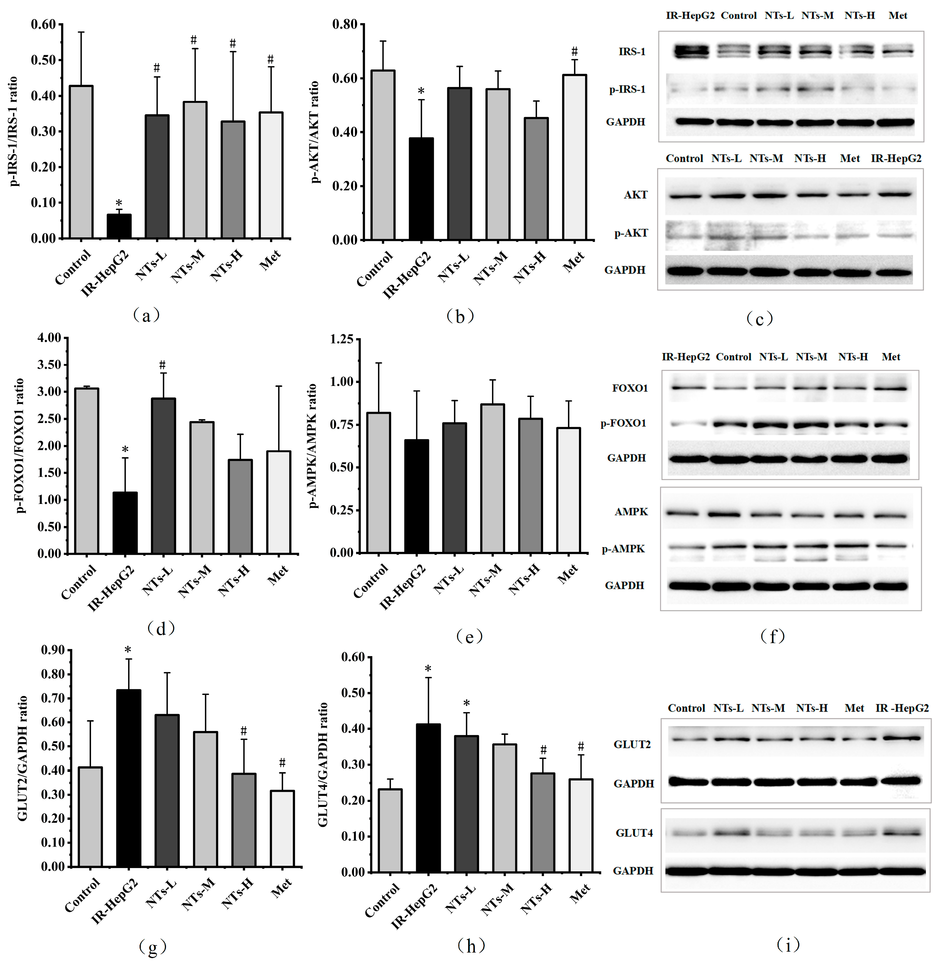 Nutrients 16 01801 g003