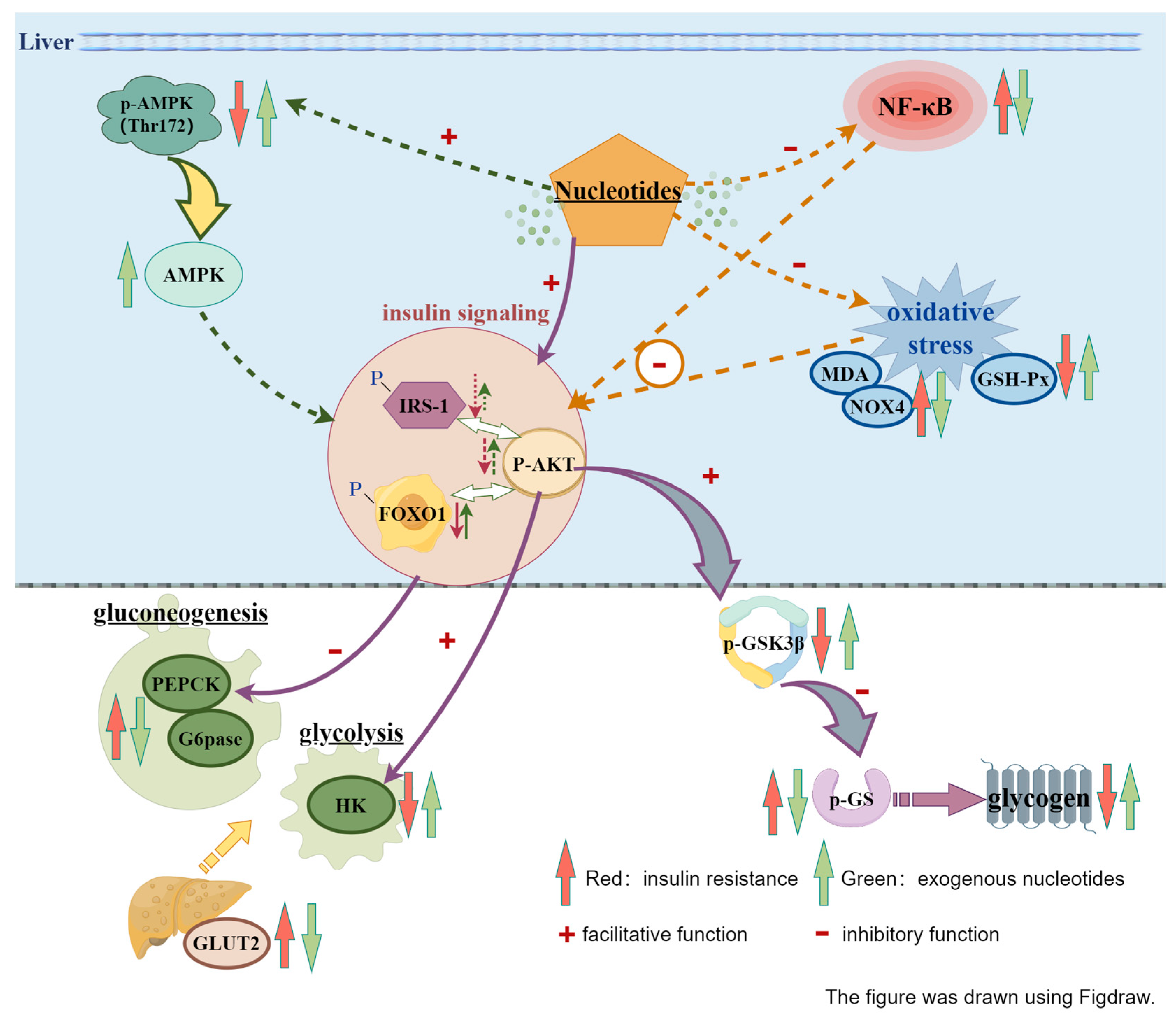 Nutrients 16 01801 g004