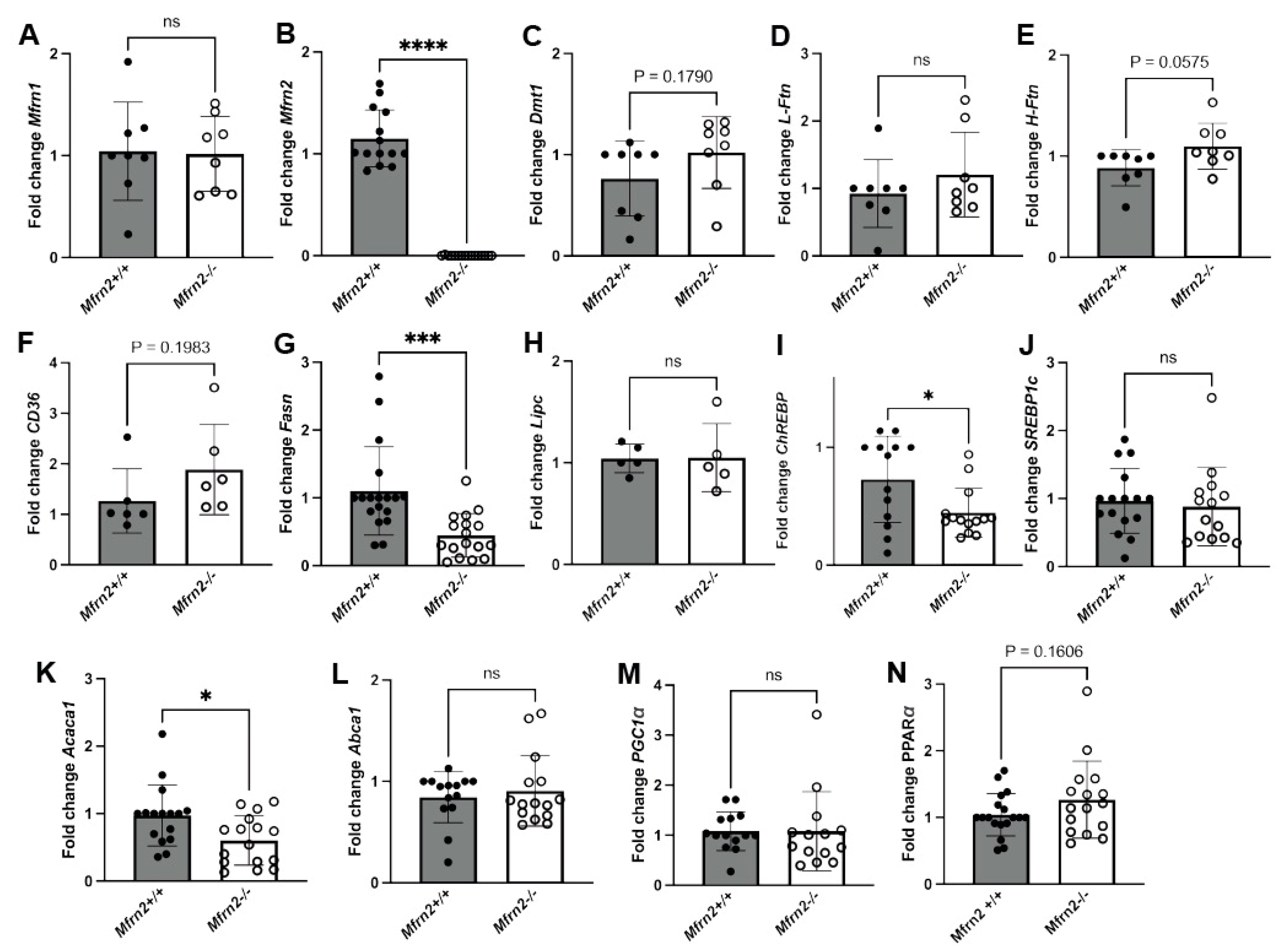 Nutrients 16 01804 g005