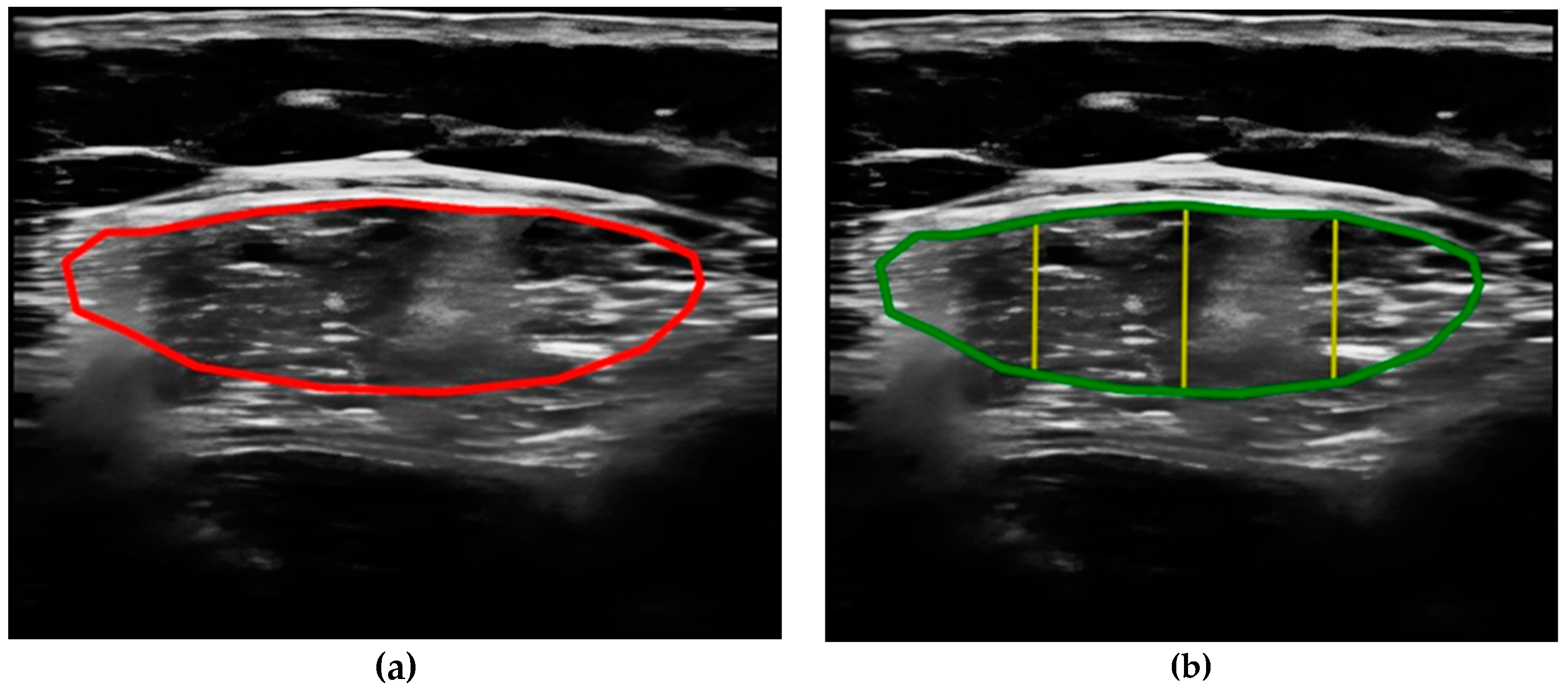 Nutrients 16 01806 g003