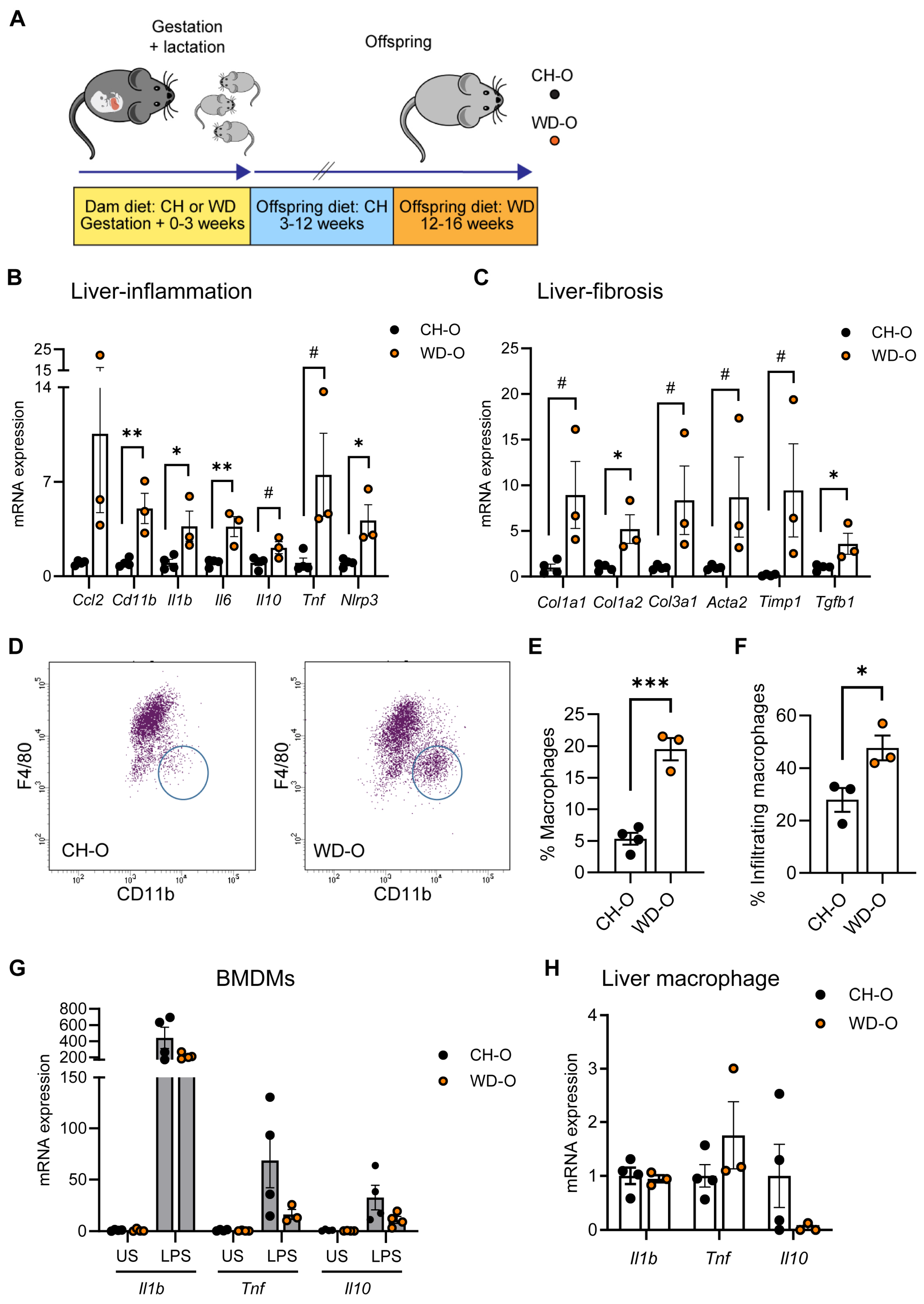 Nutrients 16 01808 g001