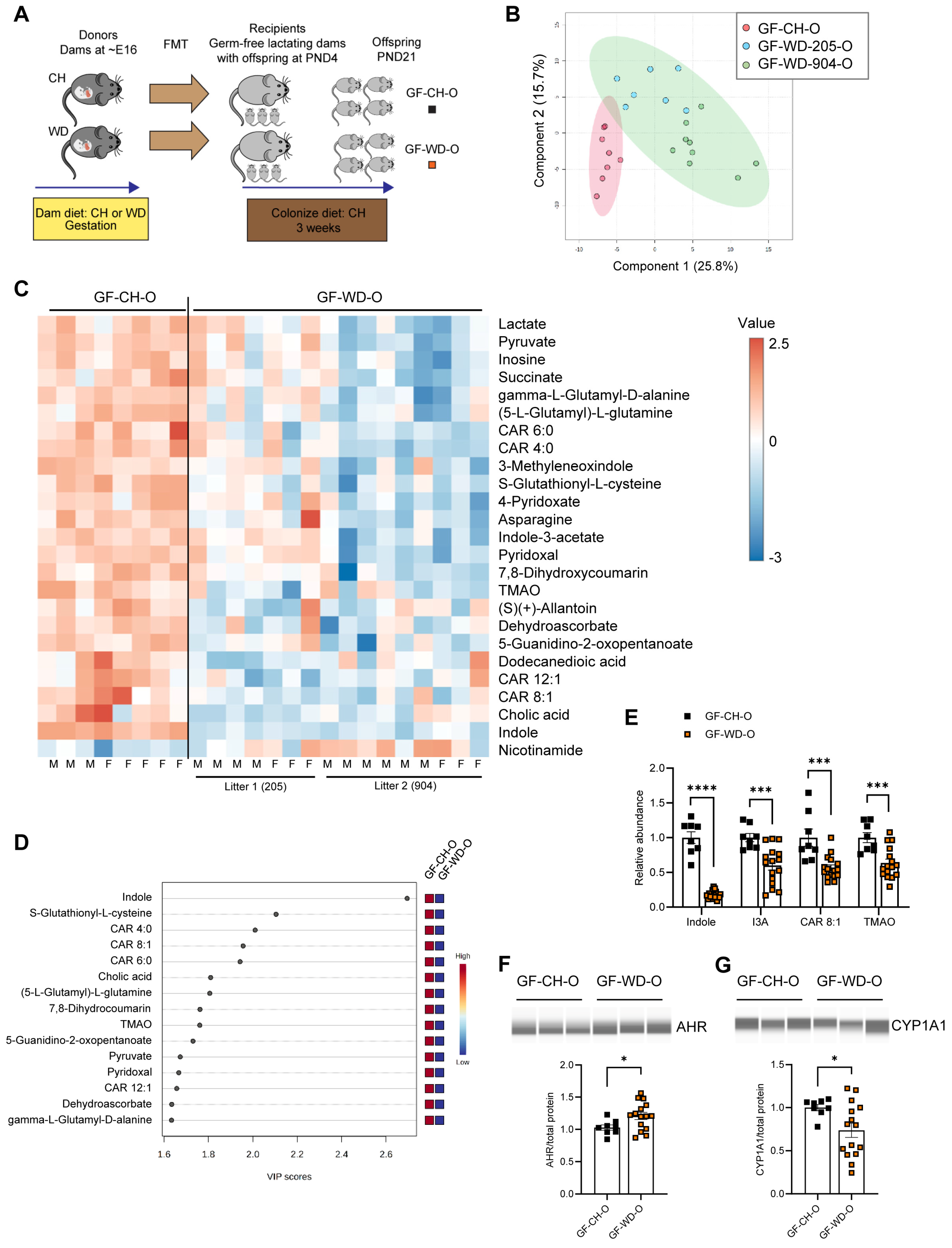 Nutrients 16 01808 g003