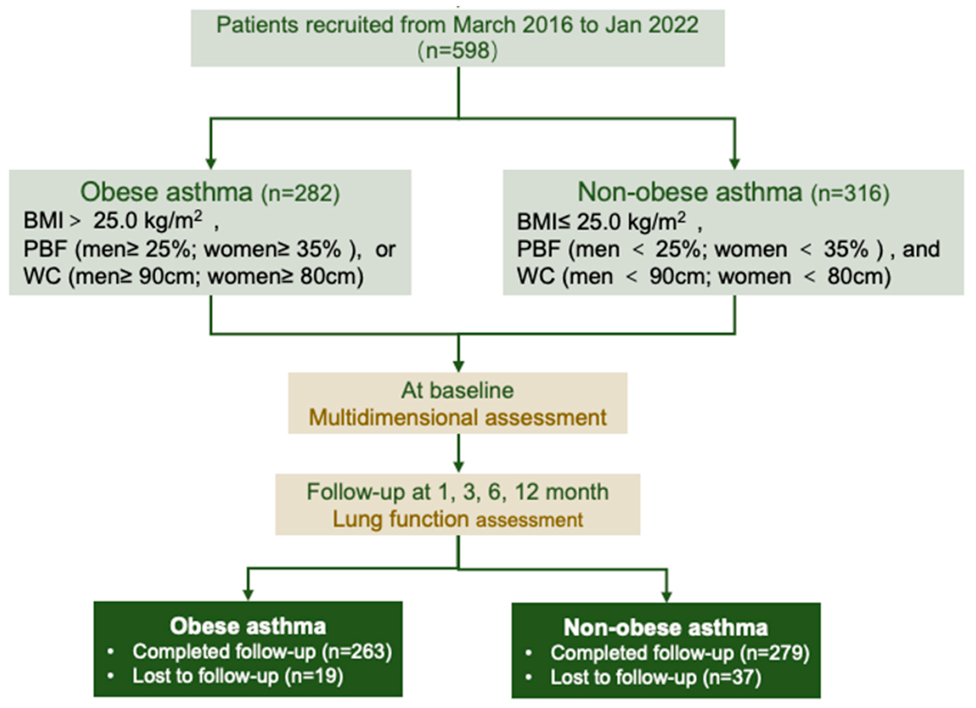 Nutrients 16 01809 g001 Nutrients 16 01809 g001