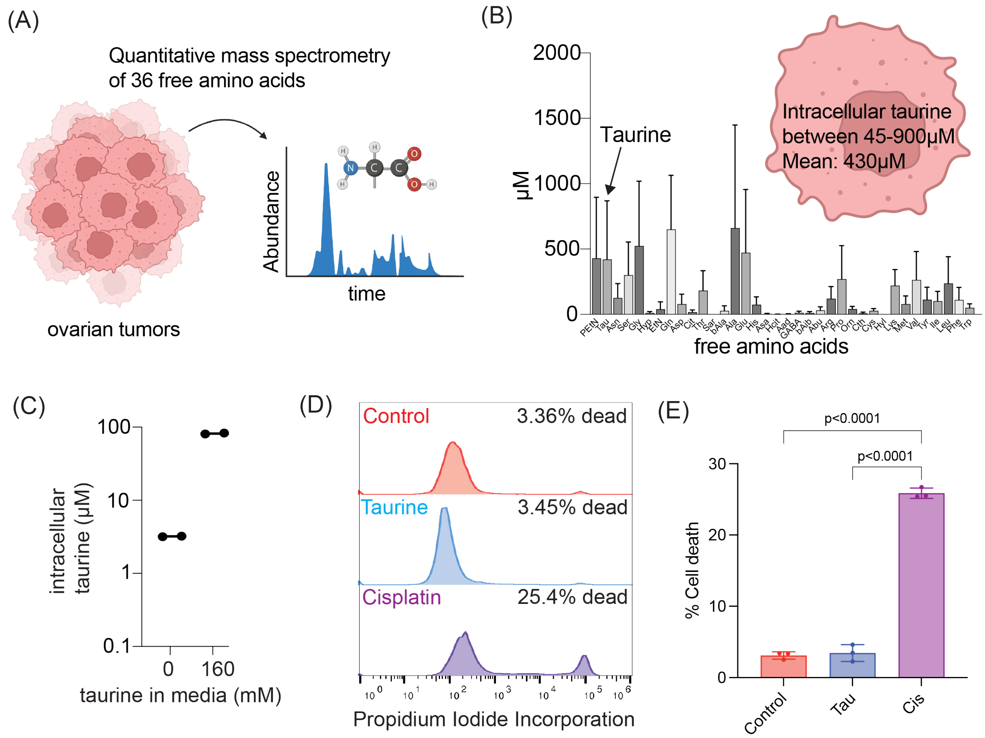 Nutrients 16 01816 g001