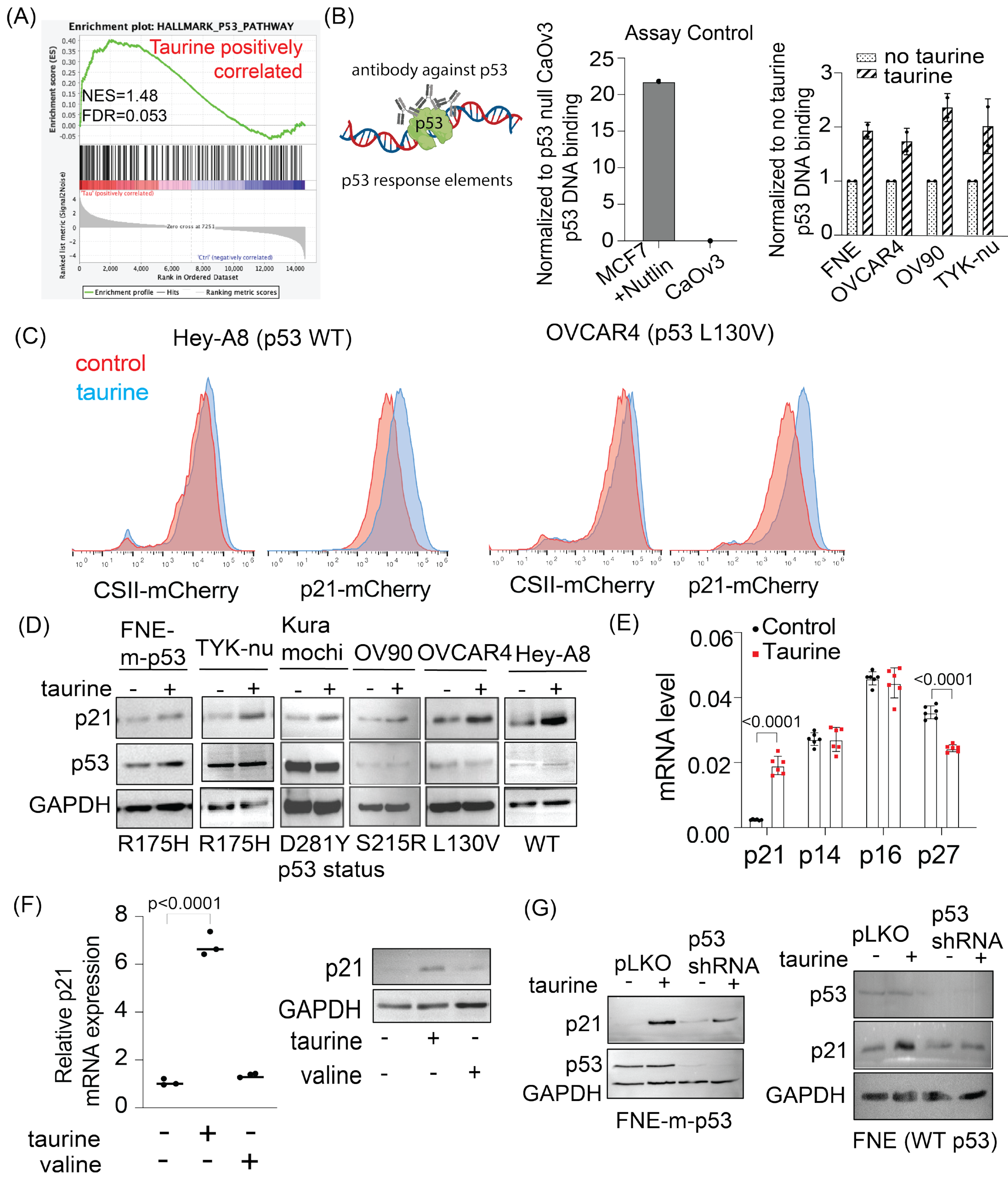 Nutrients 16 01816 g005