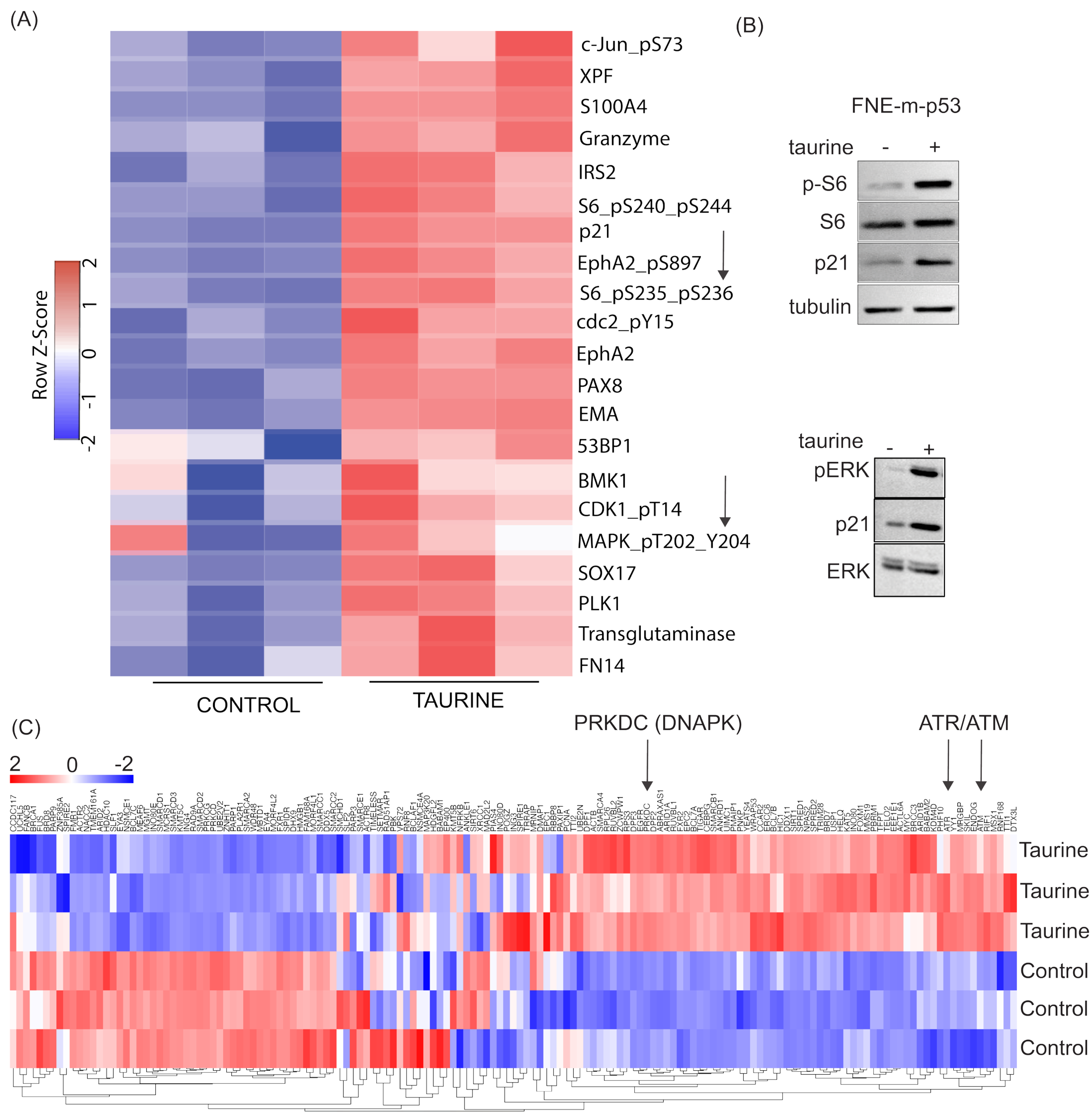 Nutrients 16 01816 g009