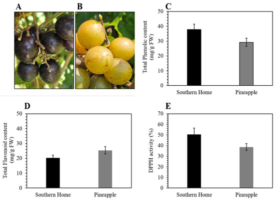 GrapeSEED unit1からunit8 GrapeSEED unit1からunit8 CD
