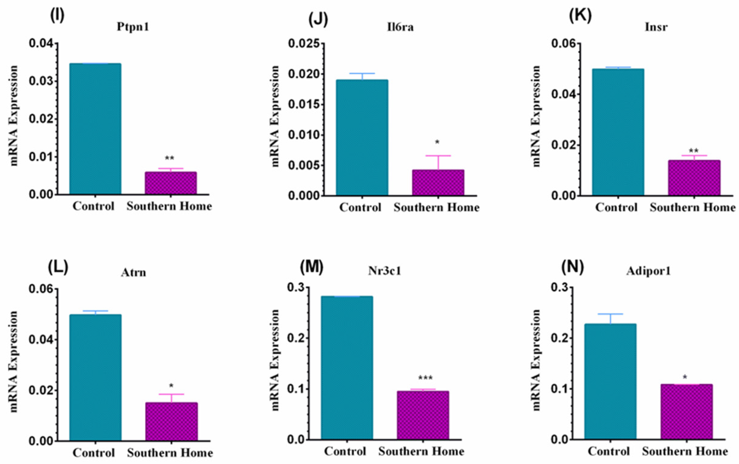 Nutrients 16 01817 g005b Nutrients 16 01817 g005b