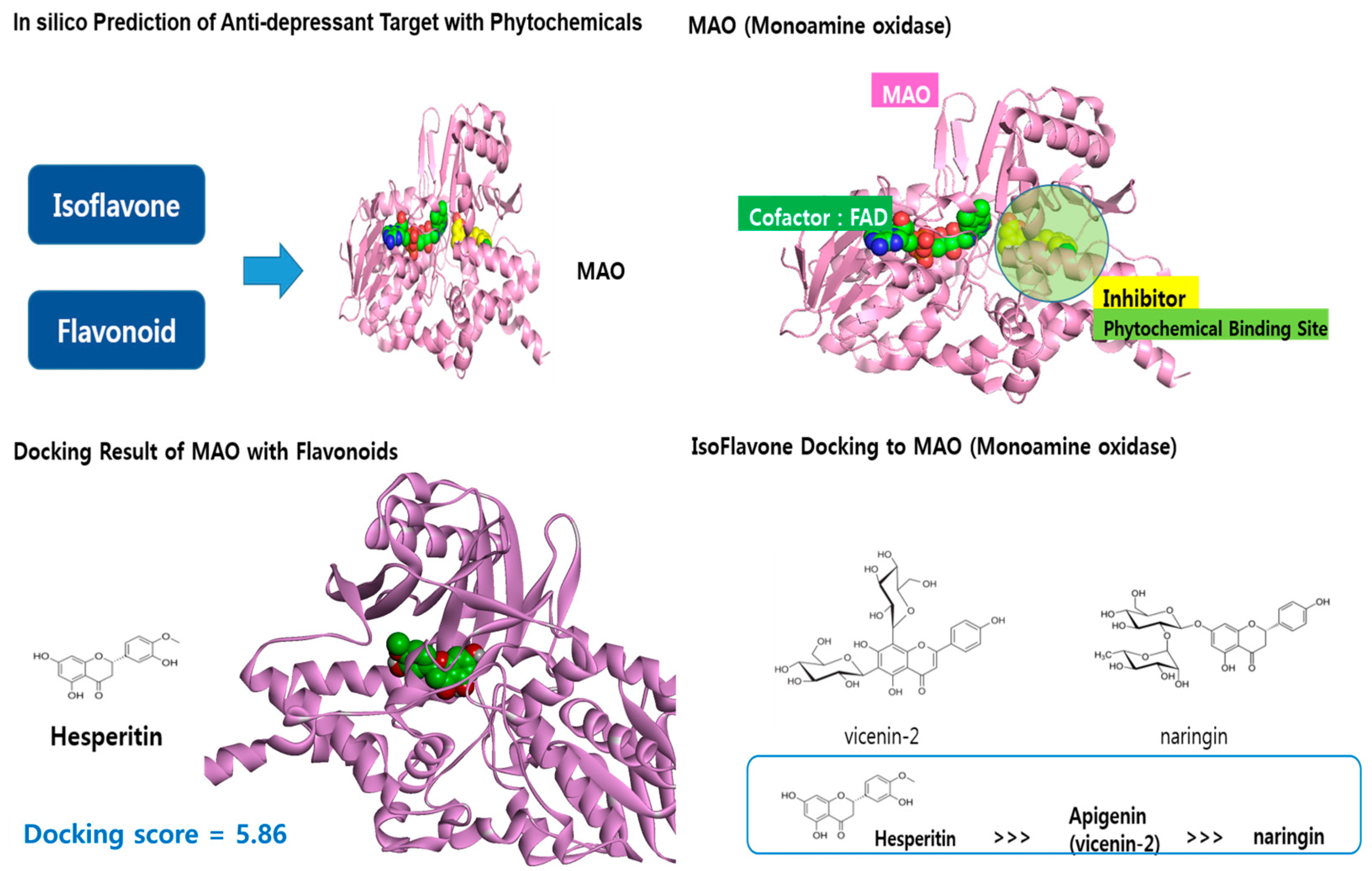 Nutrients 16 01818 g001