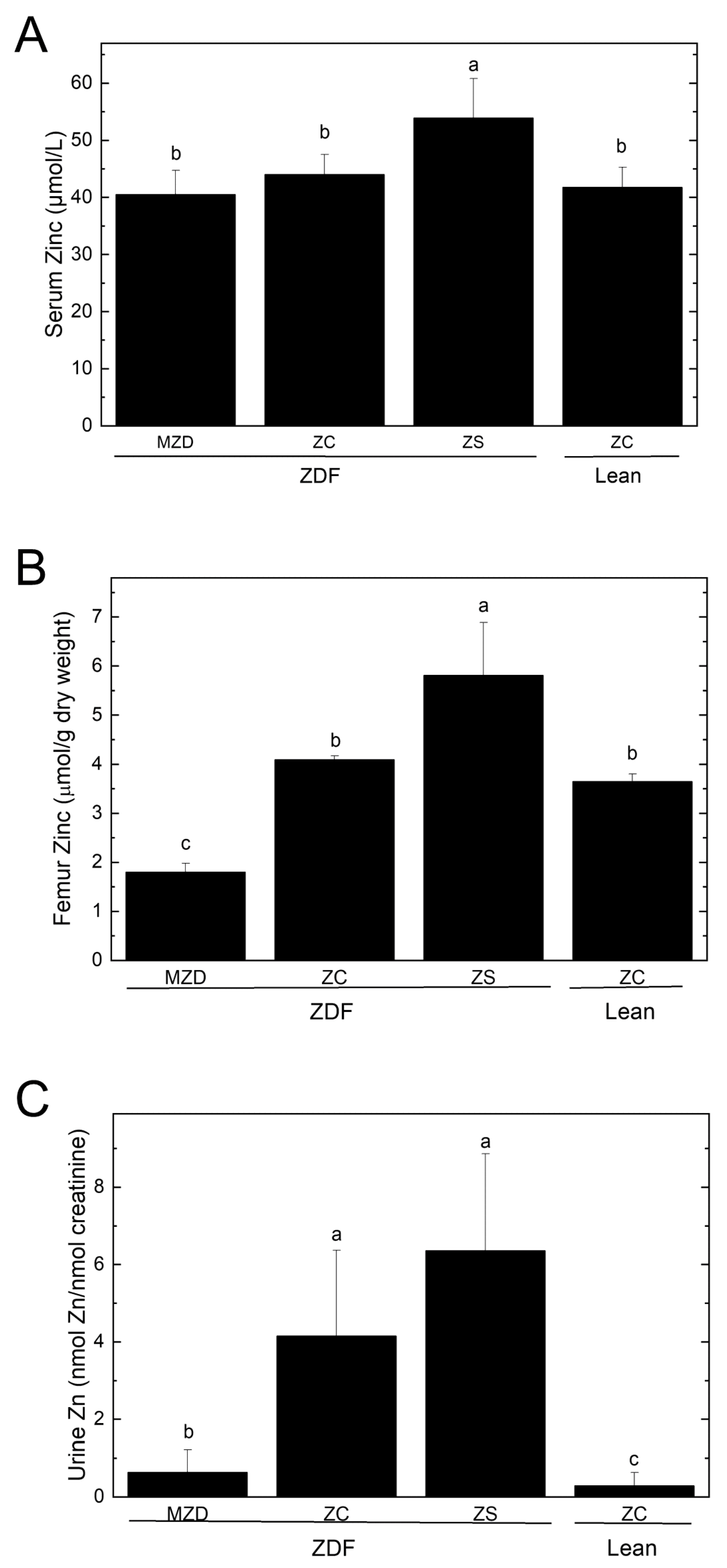 Nutrients 16 01819 g001 Nutrients 16 01819 g001