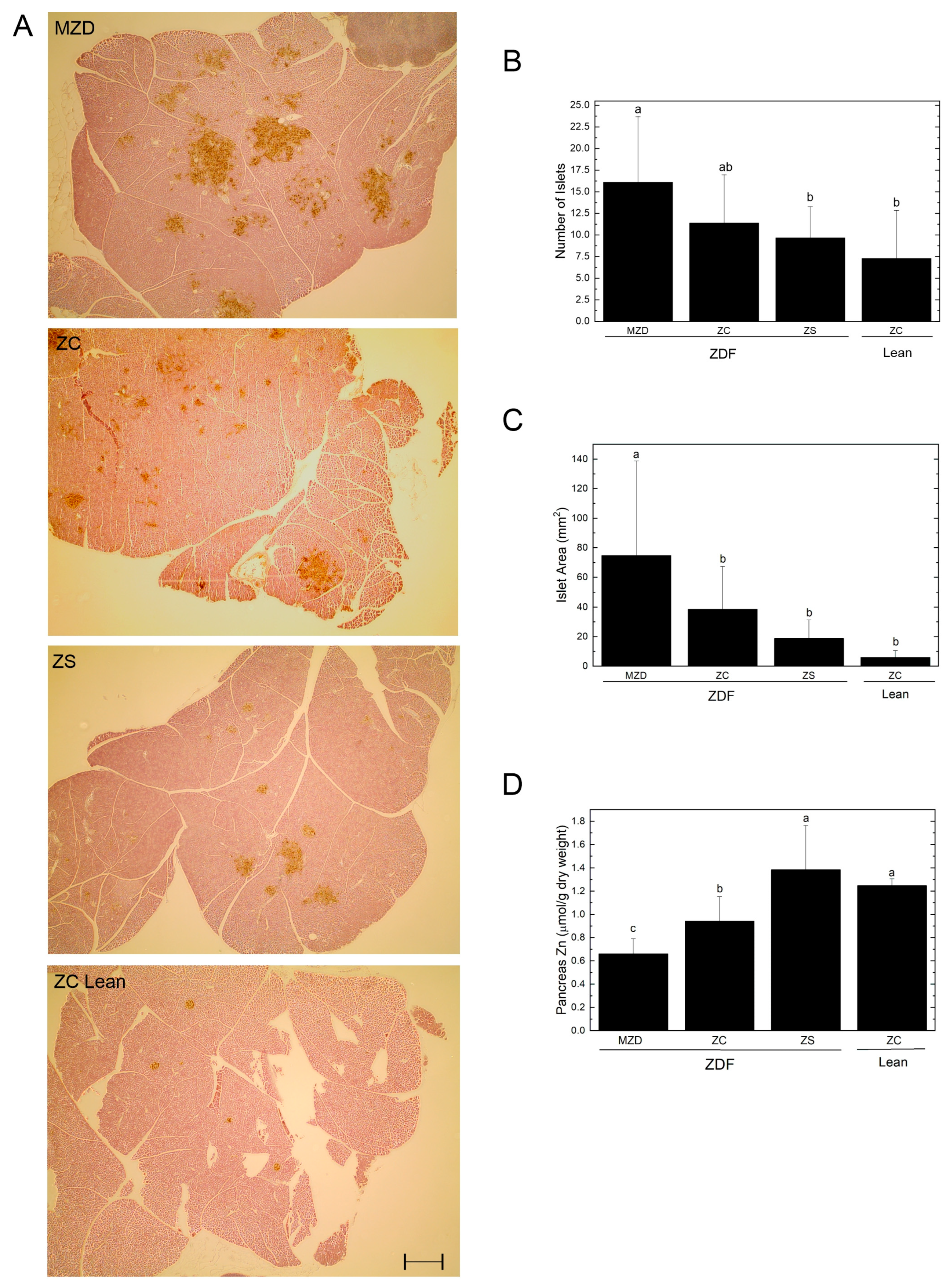 Nutrients 16 01819 g002 Nutrients 16 01819 g002