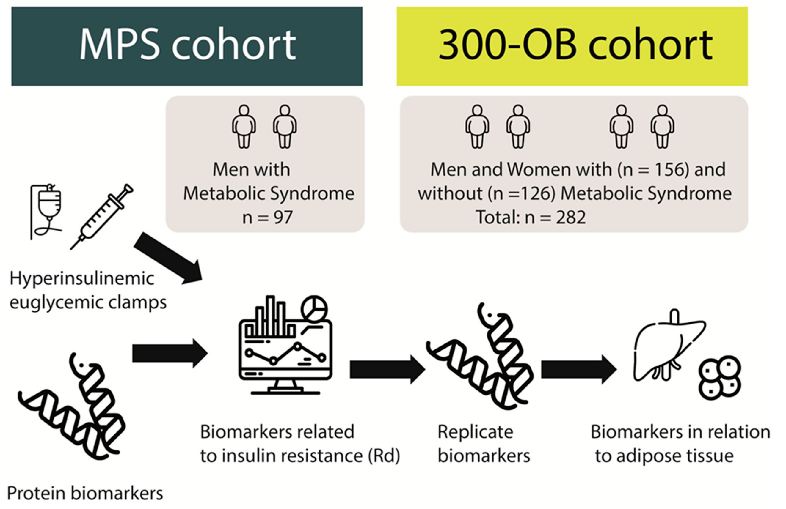 Nutrients 16 01822 g001 Nutrients 16 01822 g001