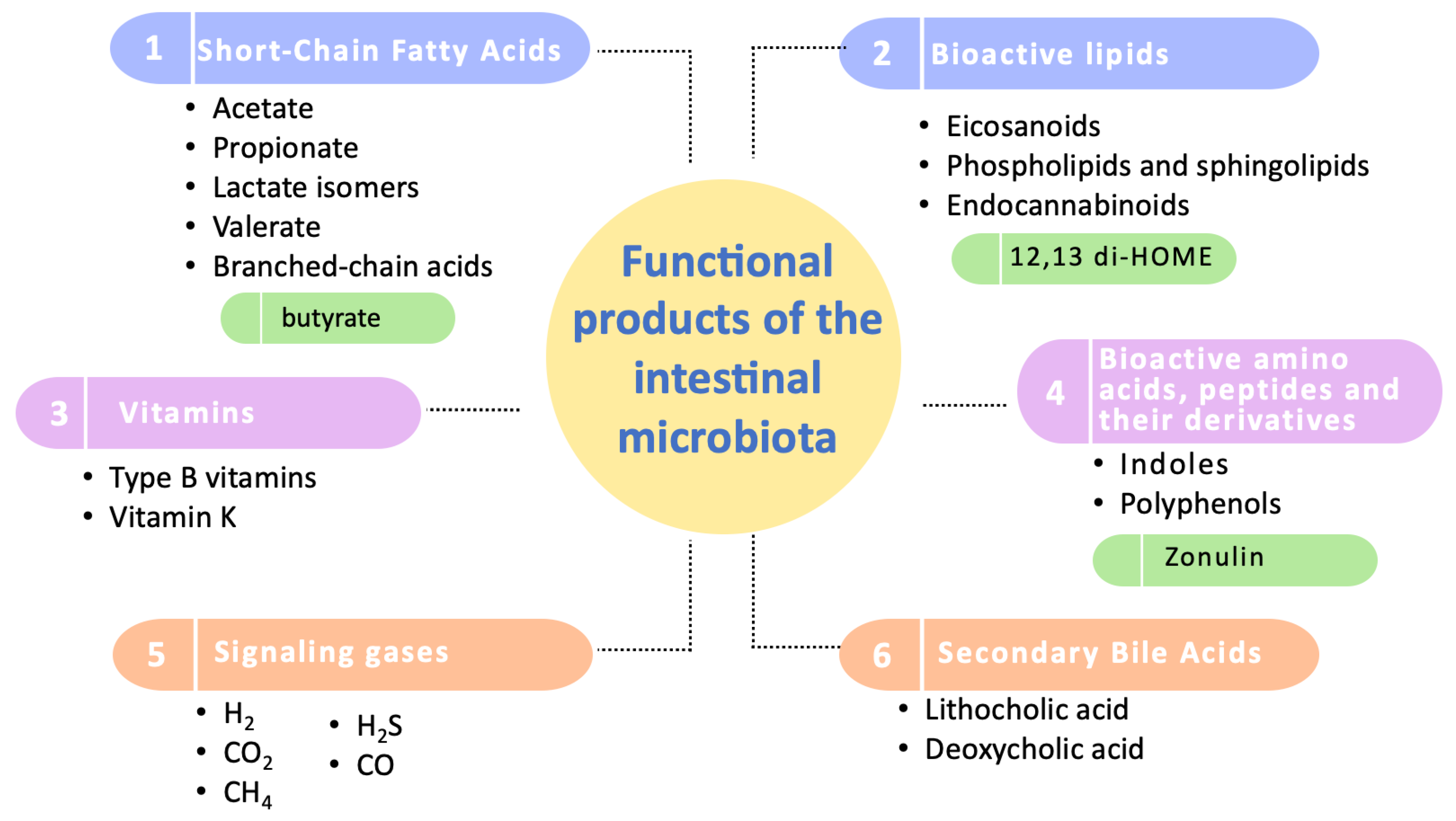 Nutrients 16 01823 g002